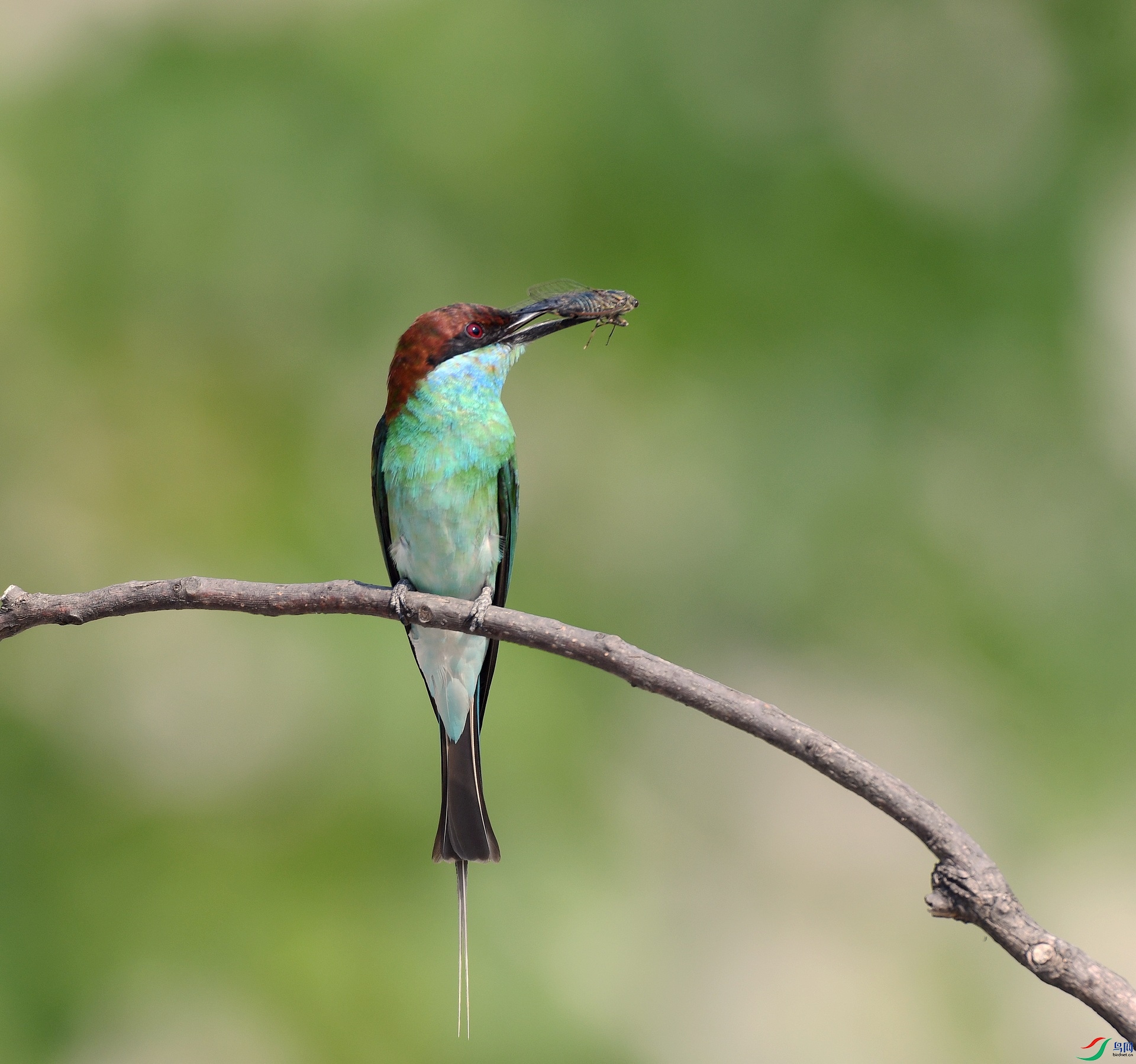 DSC_3870.jpg
