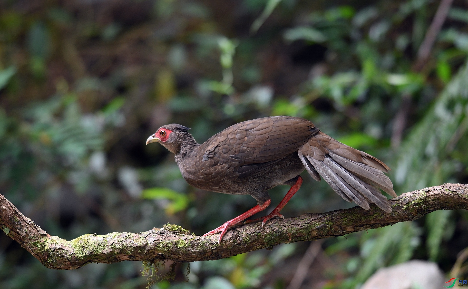 DSC_6778.jpg