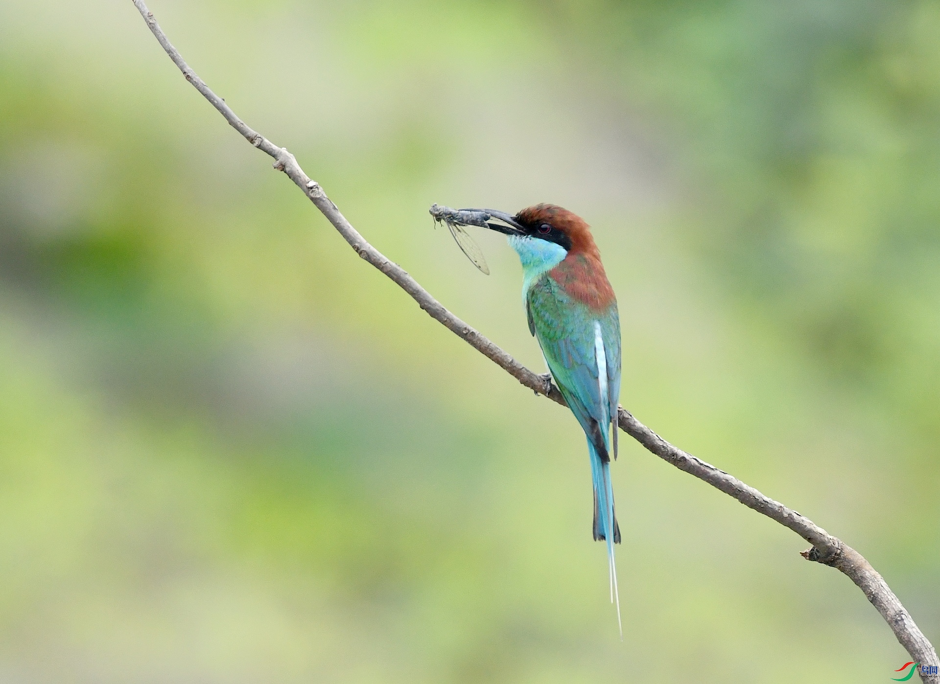 DSC_5558.jpg