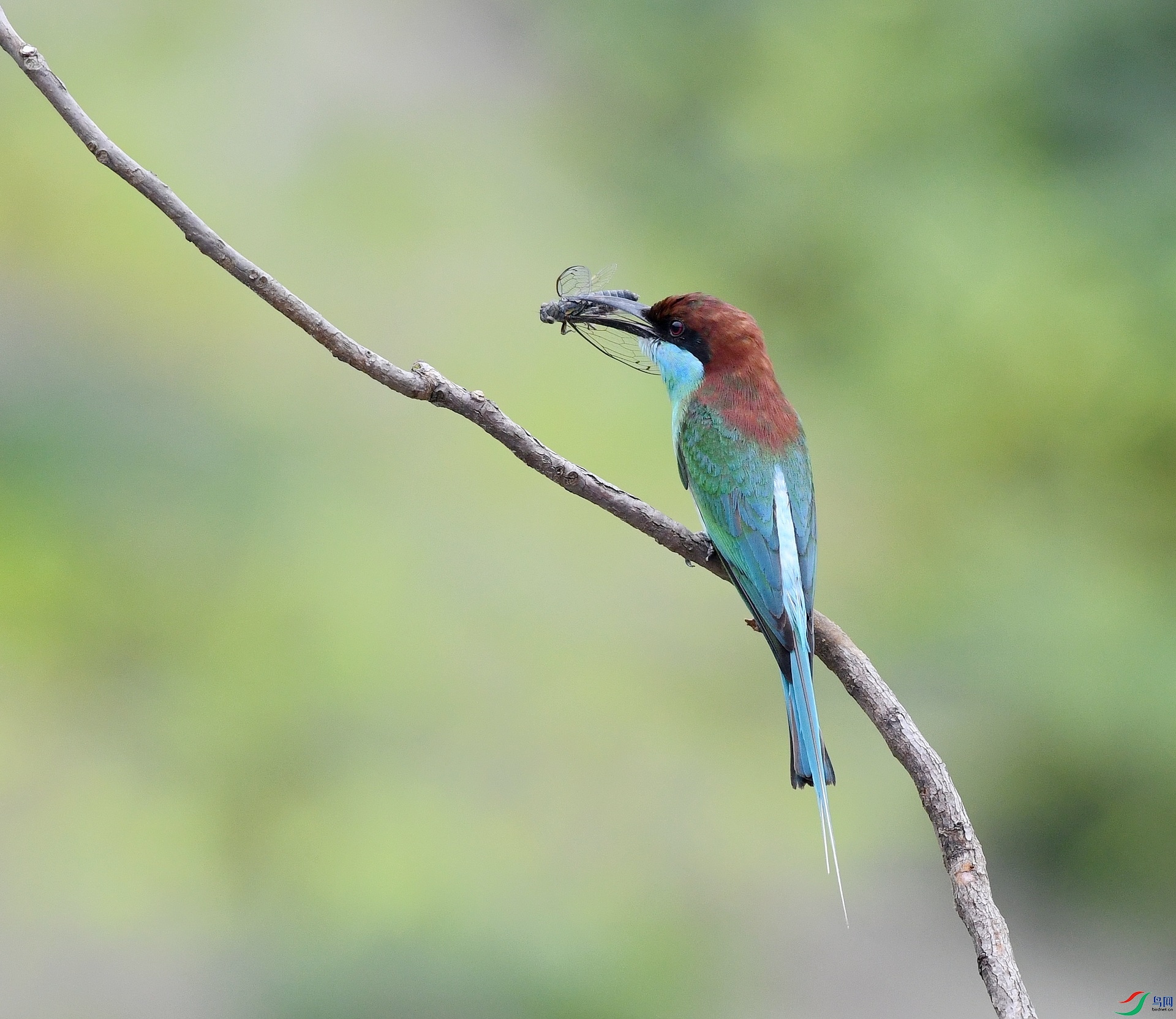 DSC_5604.jpg