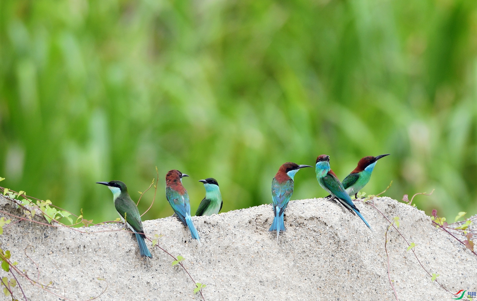 DSC_3140.jpg