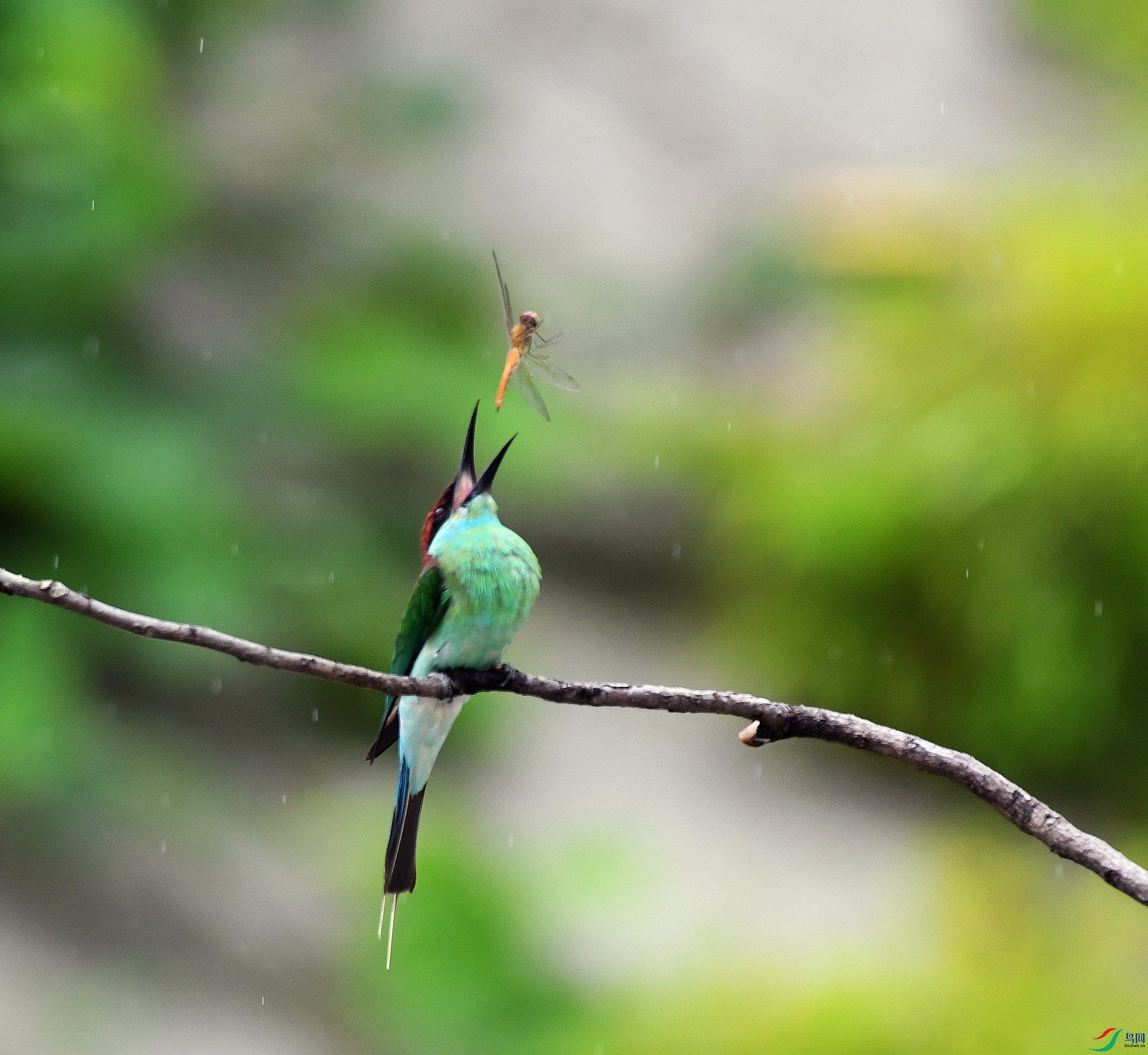DSC_3922.jpg