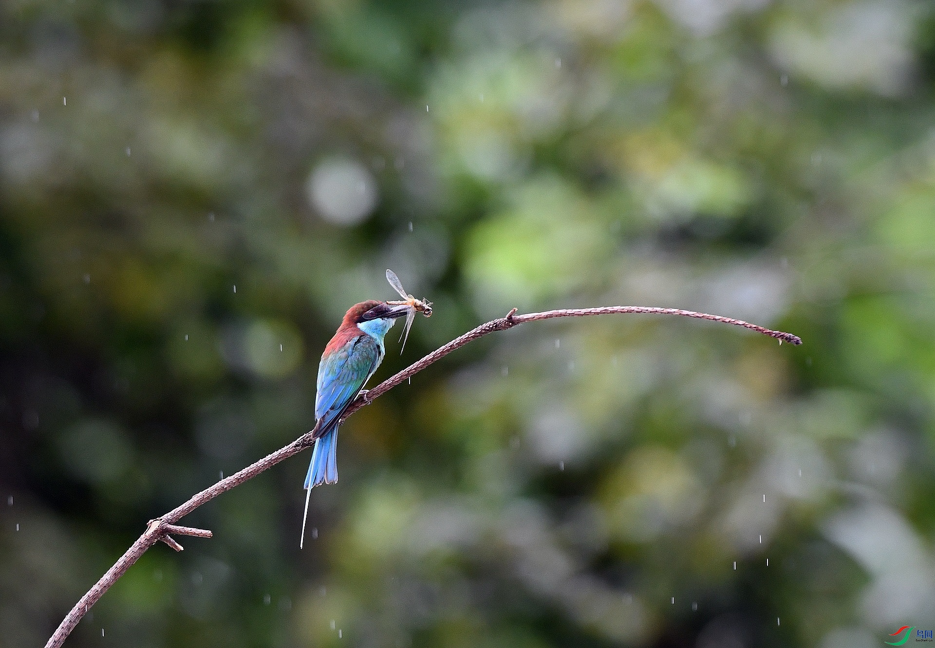 DSC_3912.jpg
