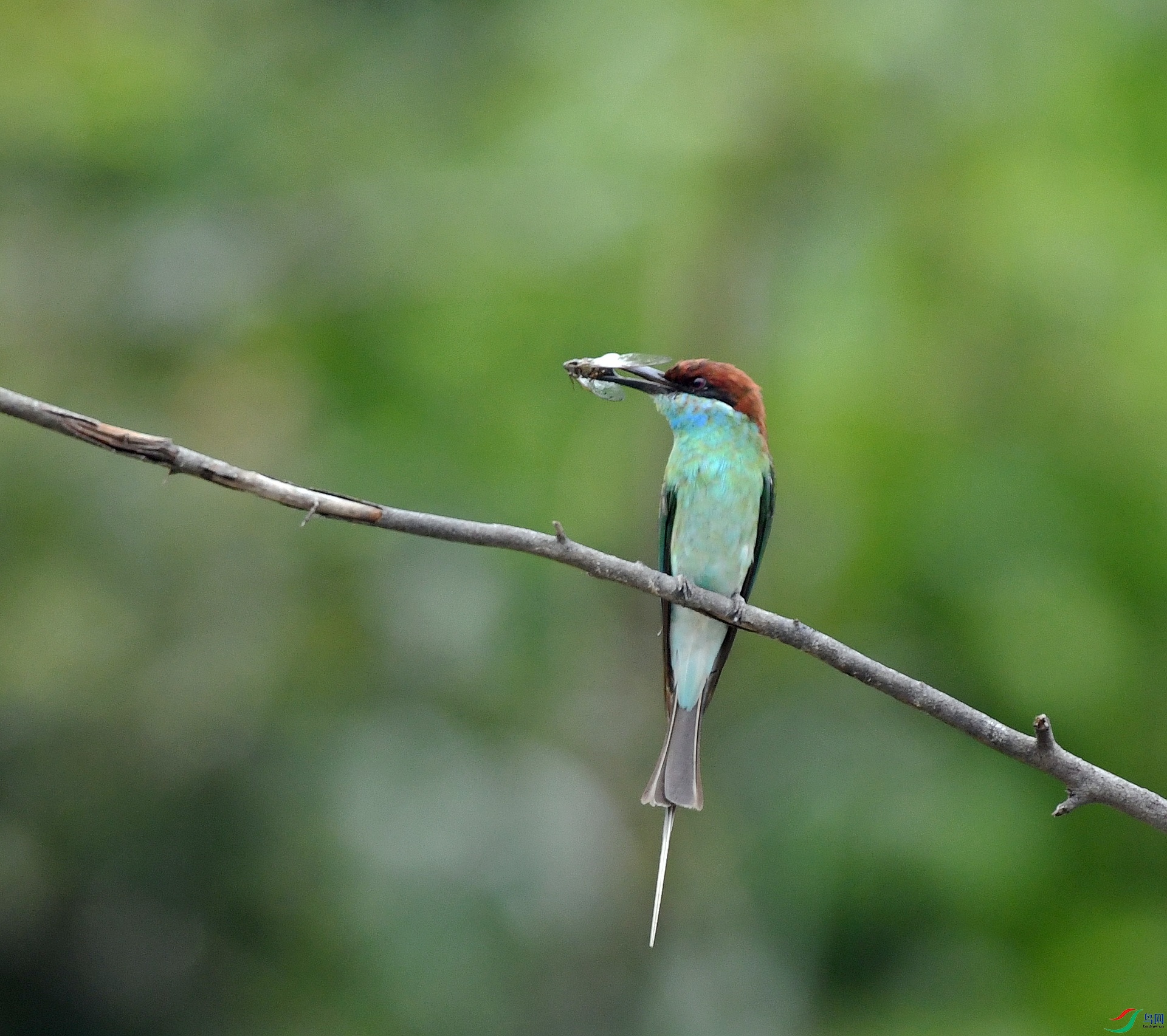 DSC_5632.jpg