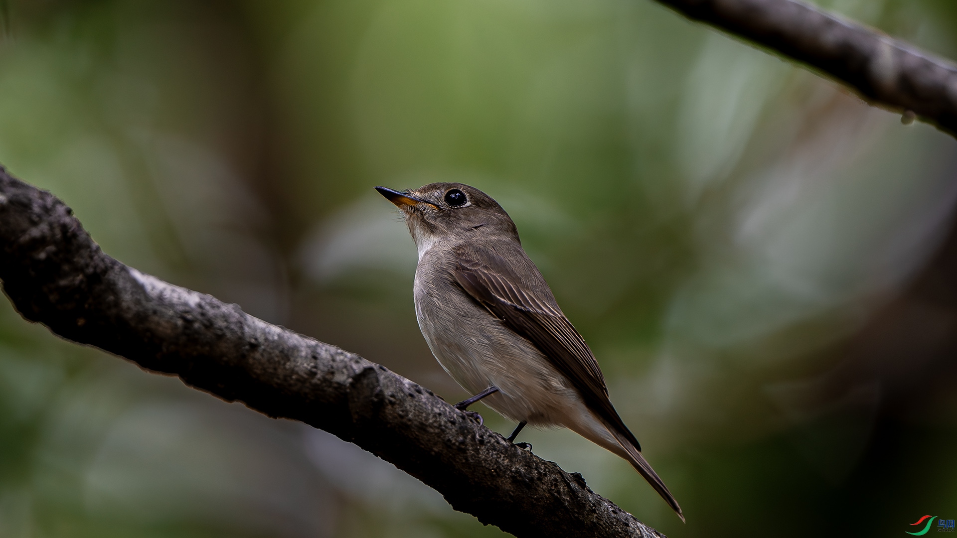 DSC_4772.jpg