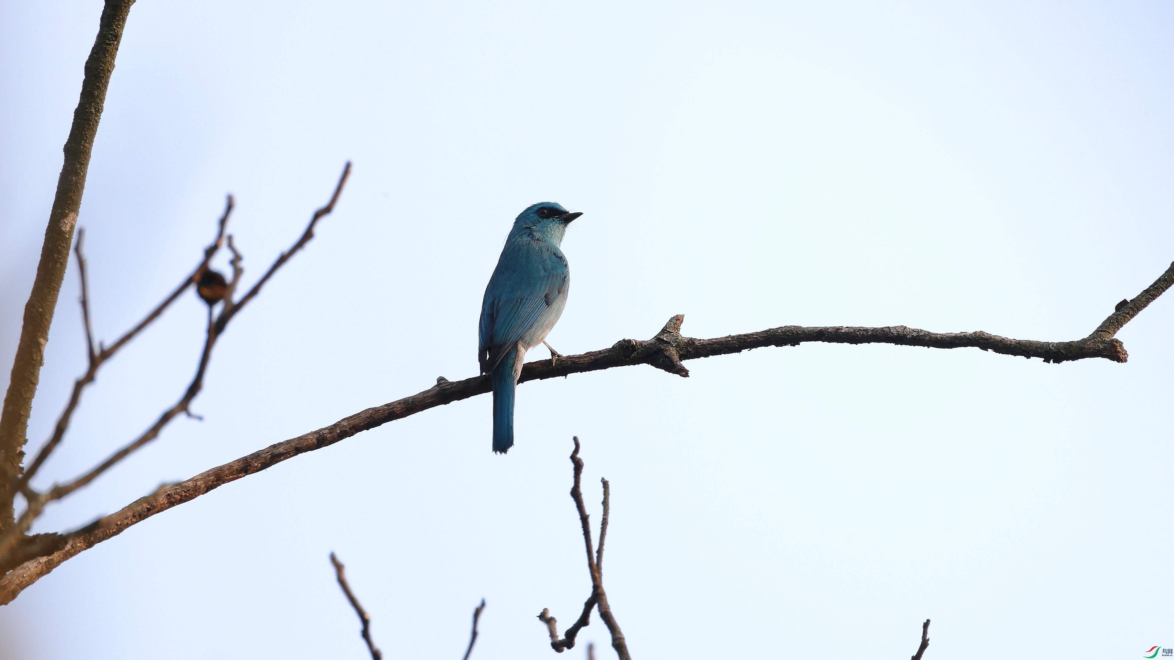 IMG_4682.JPG