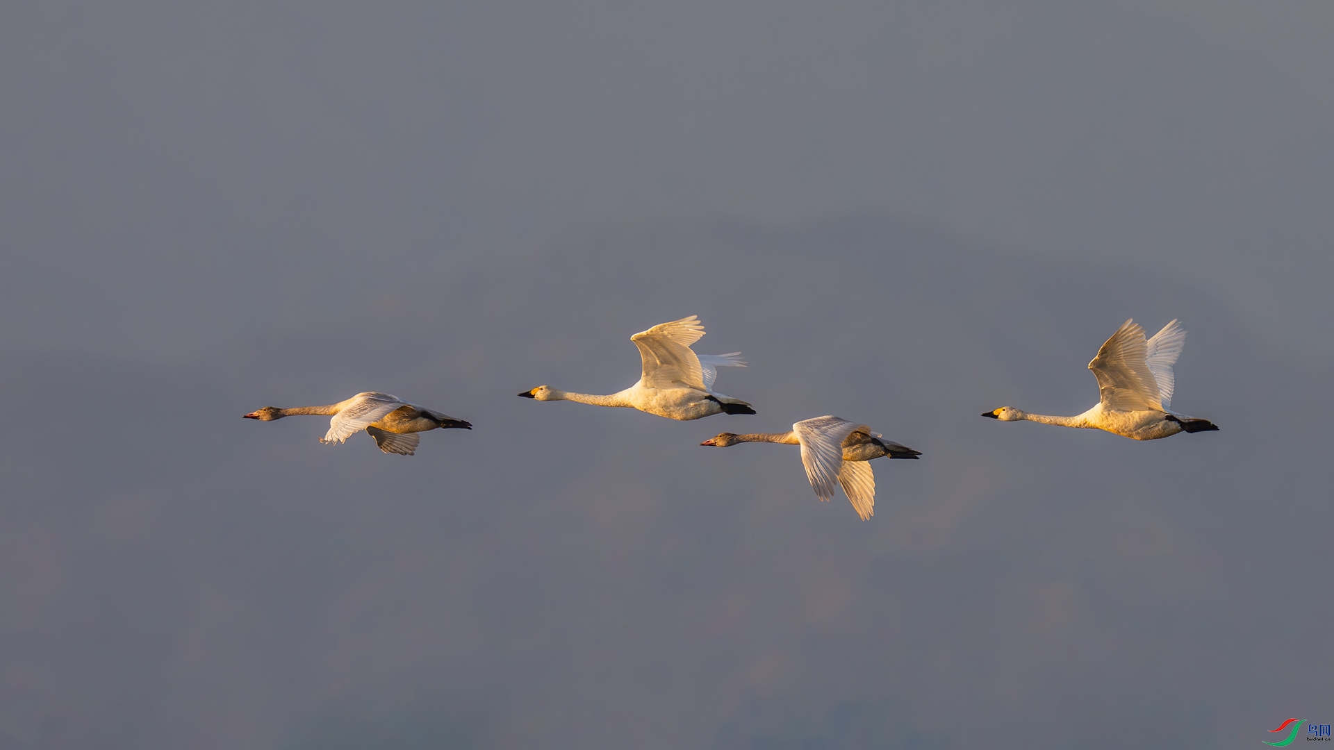 DSC07773.jpg