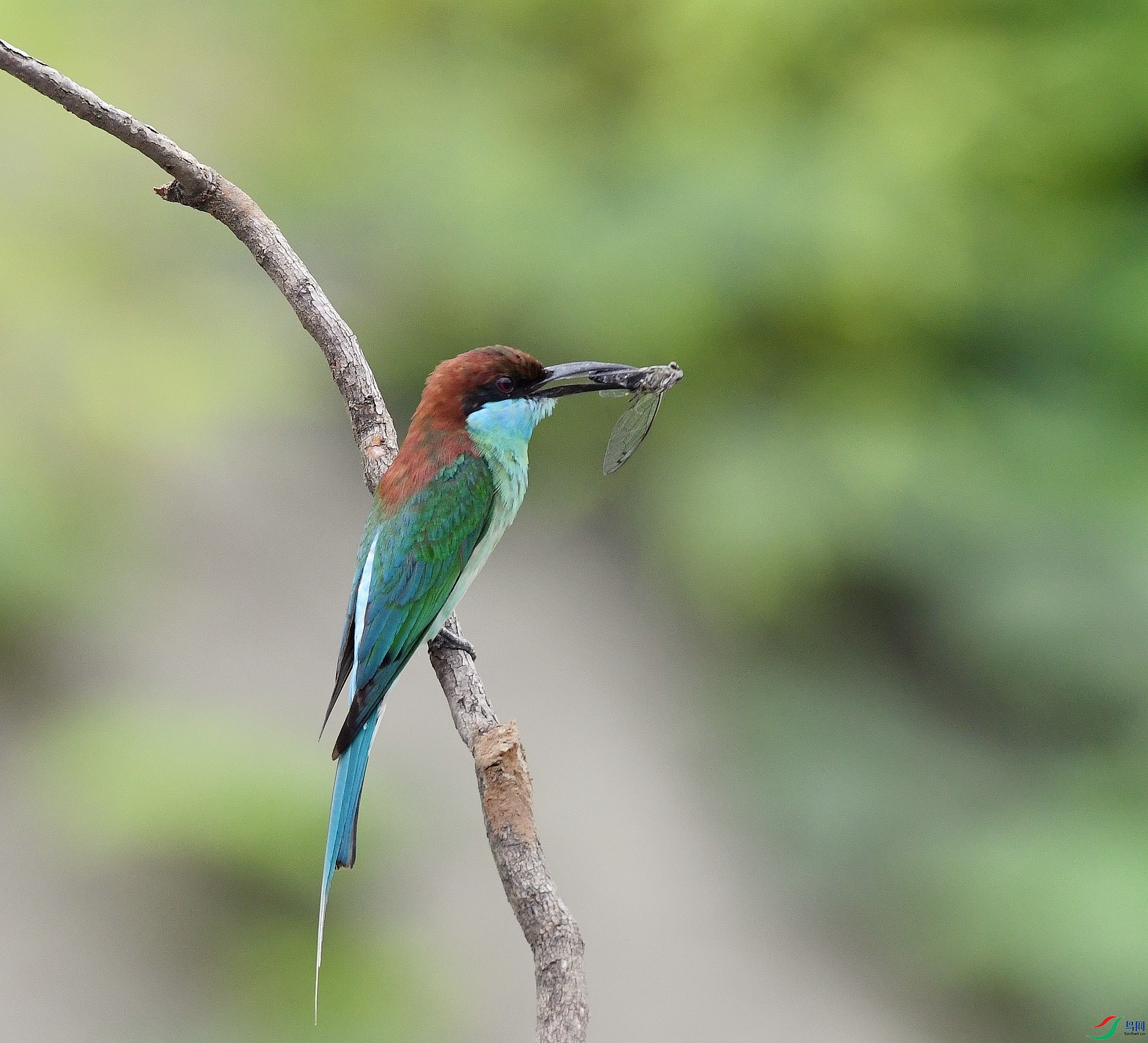 DSC_5546.jpg