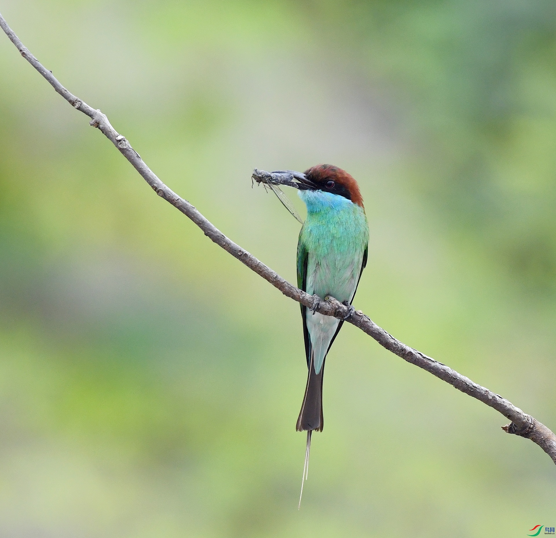 DSC_5549.jpg