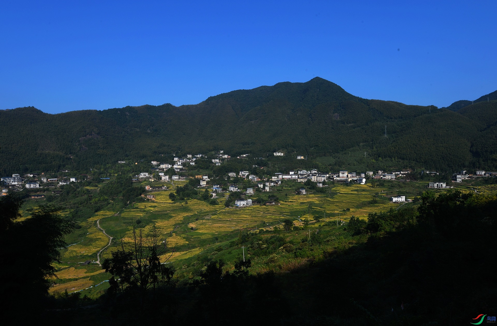 DSC_5540.jpg