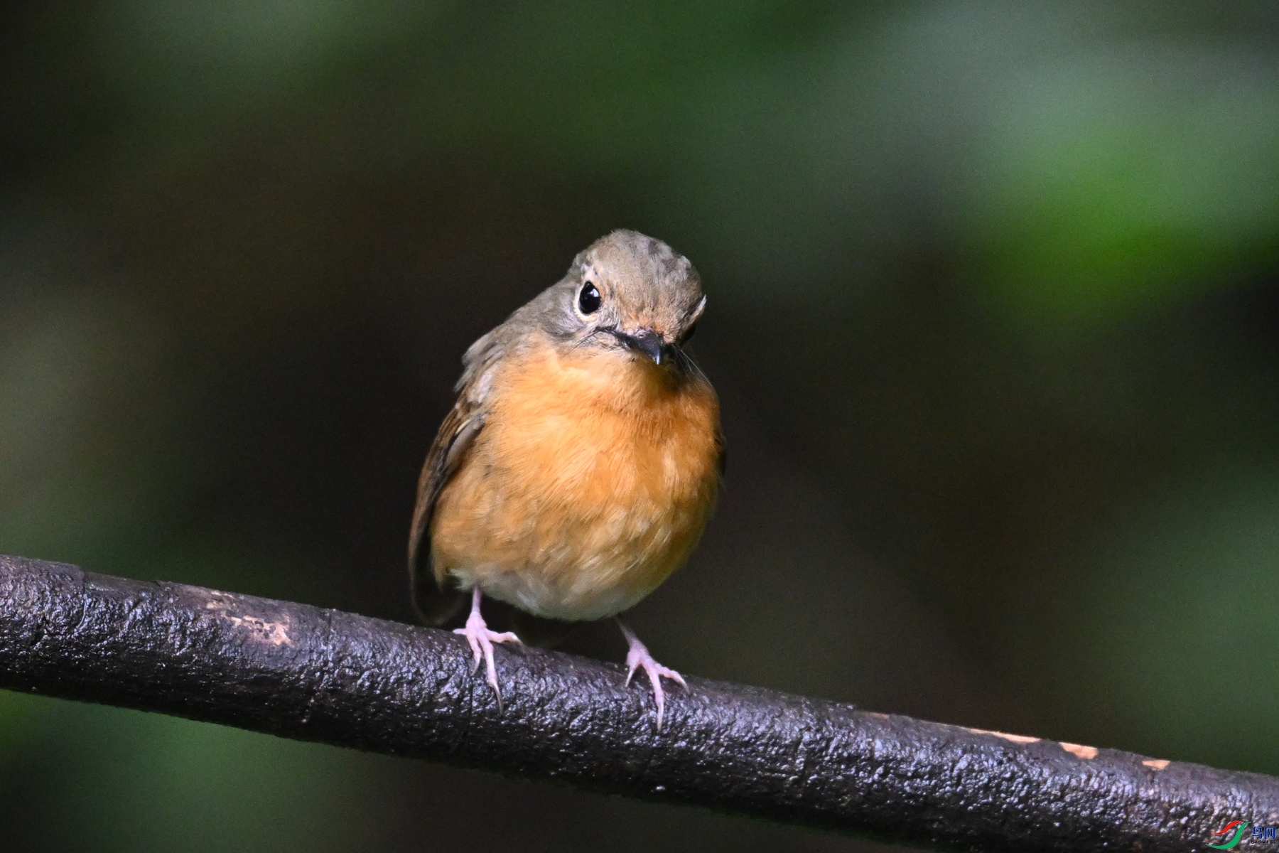 DSC_7209.JPG