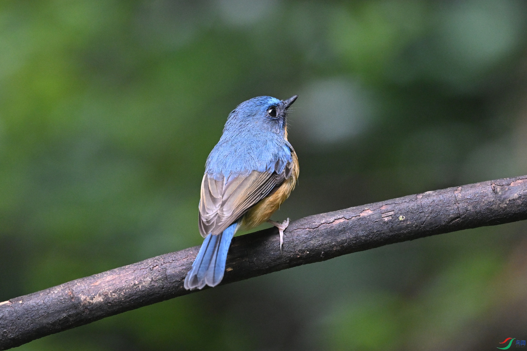 DSC_7223.JPG