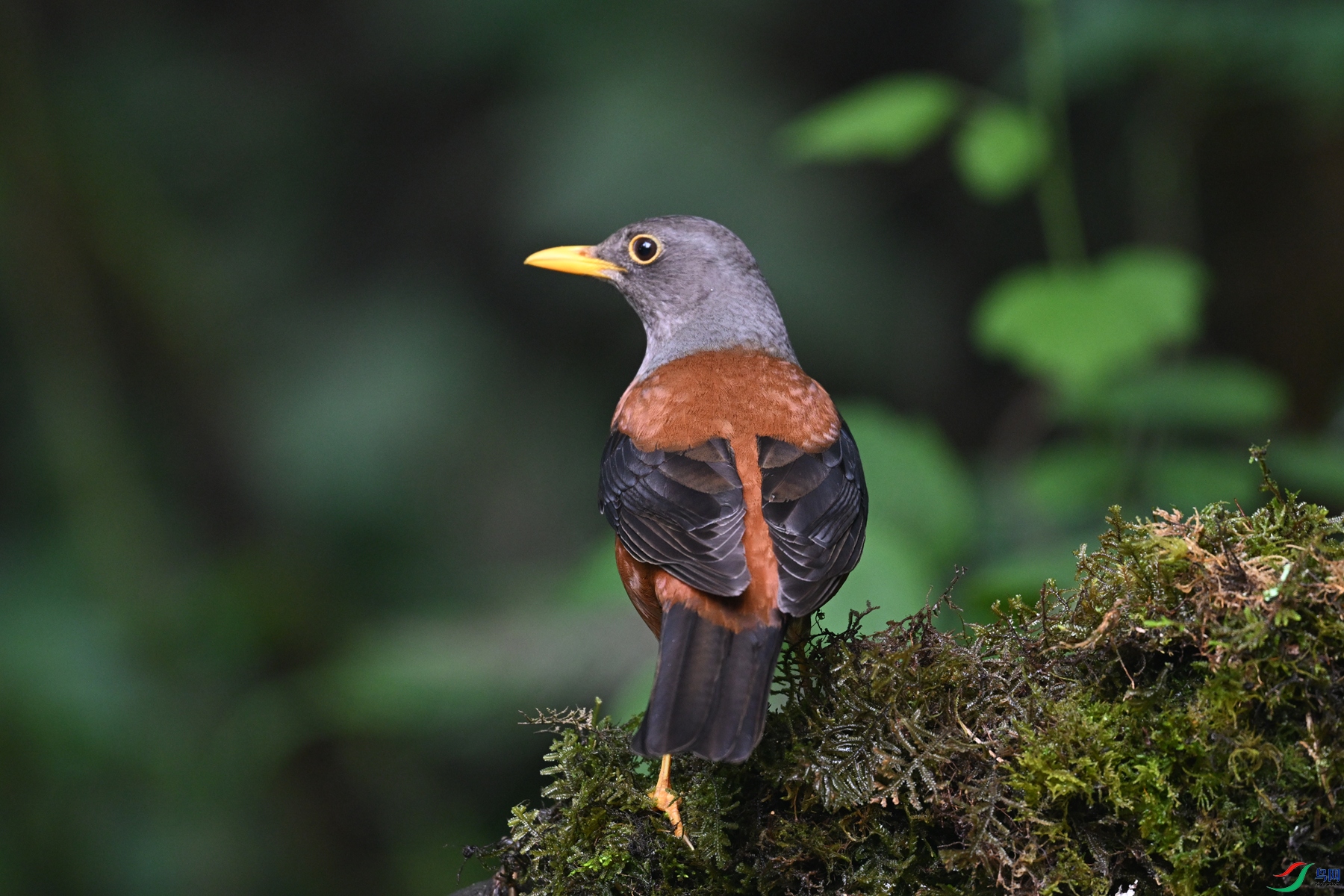 DSC_7244.JPG