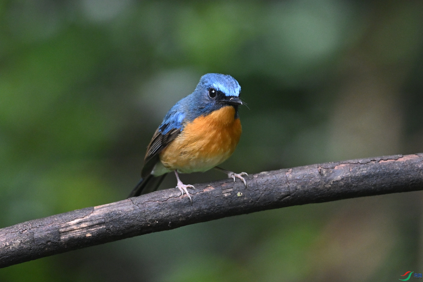 DSC_7231.JPG