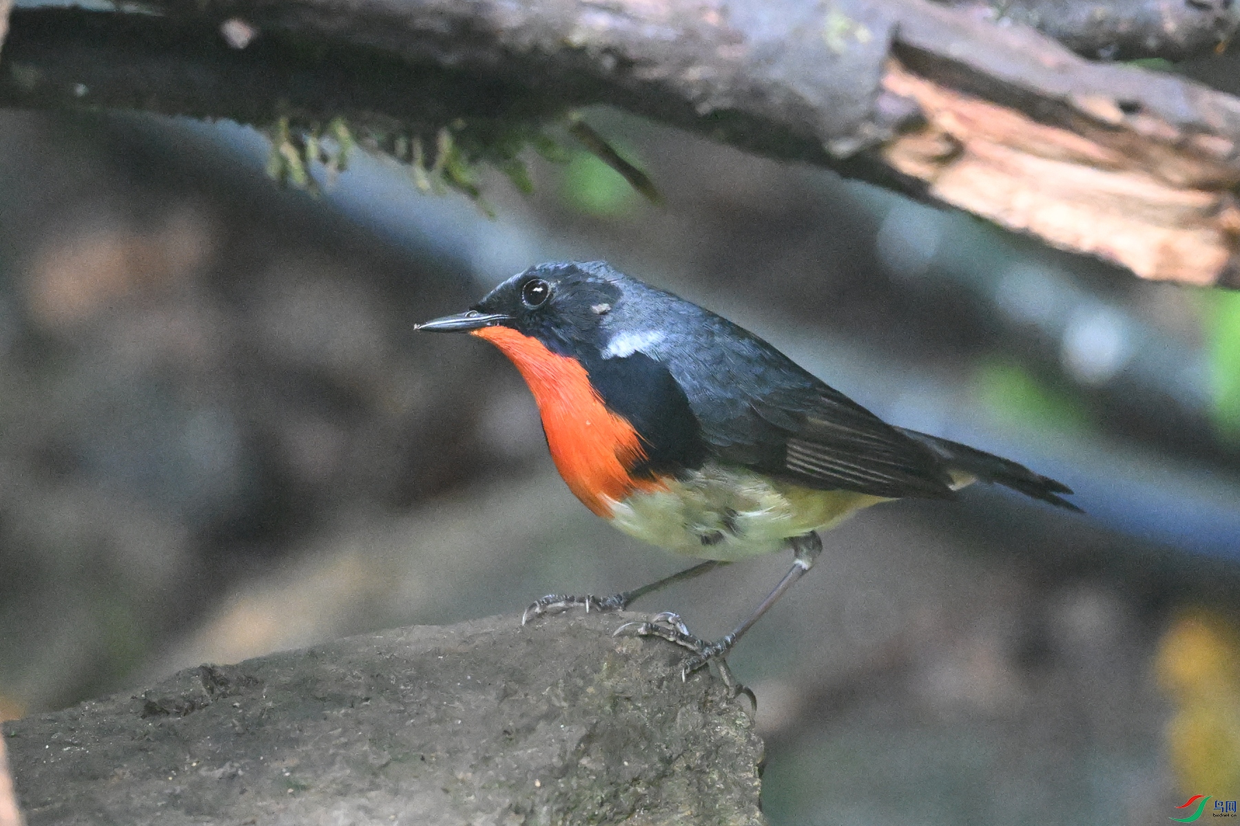 DSC_7159.JPG