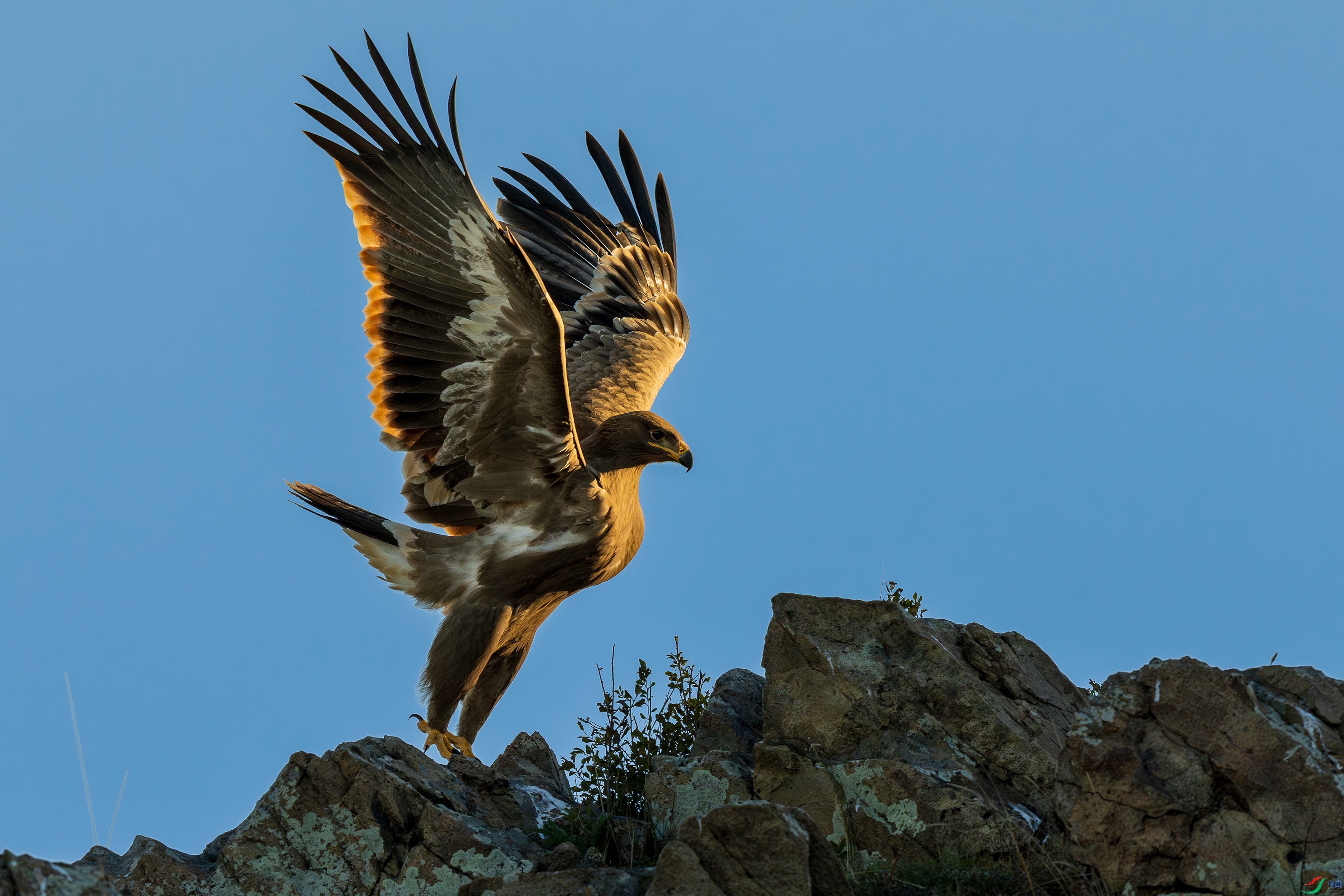 _DSC6151-1.jpg