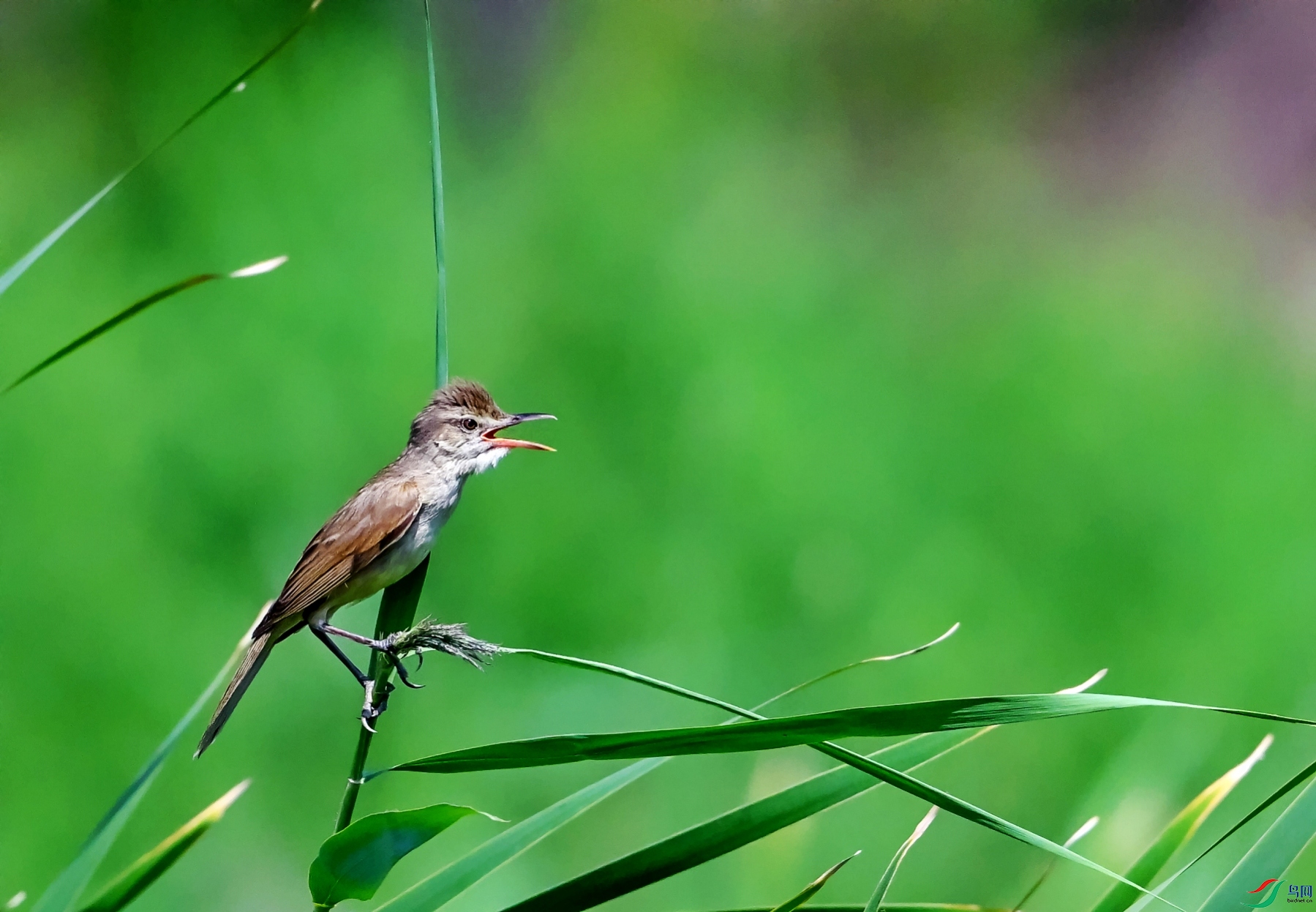 DSC_4160---_conew1.jpg