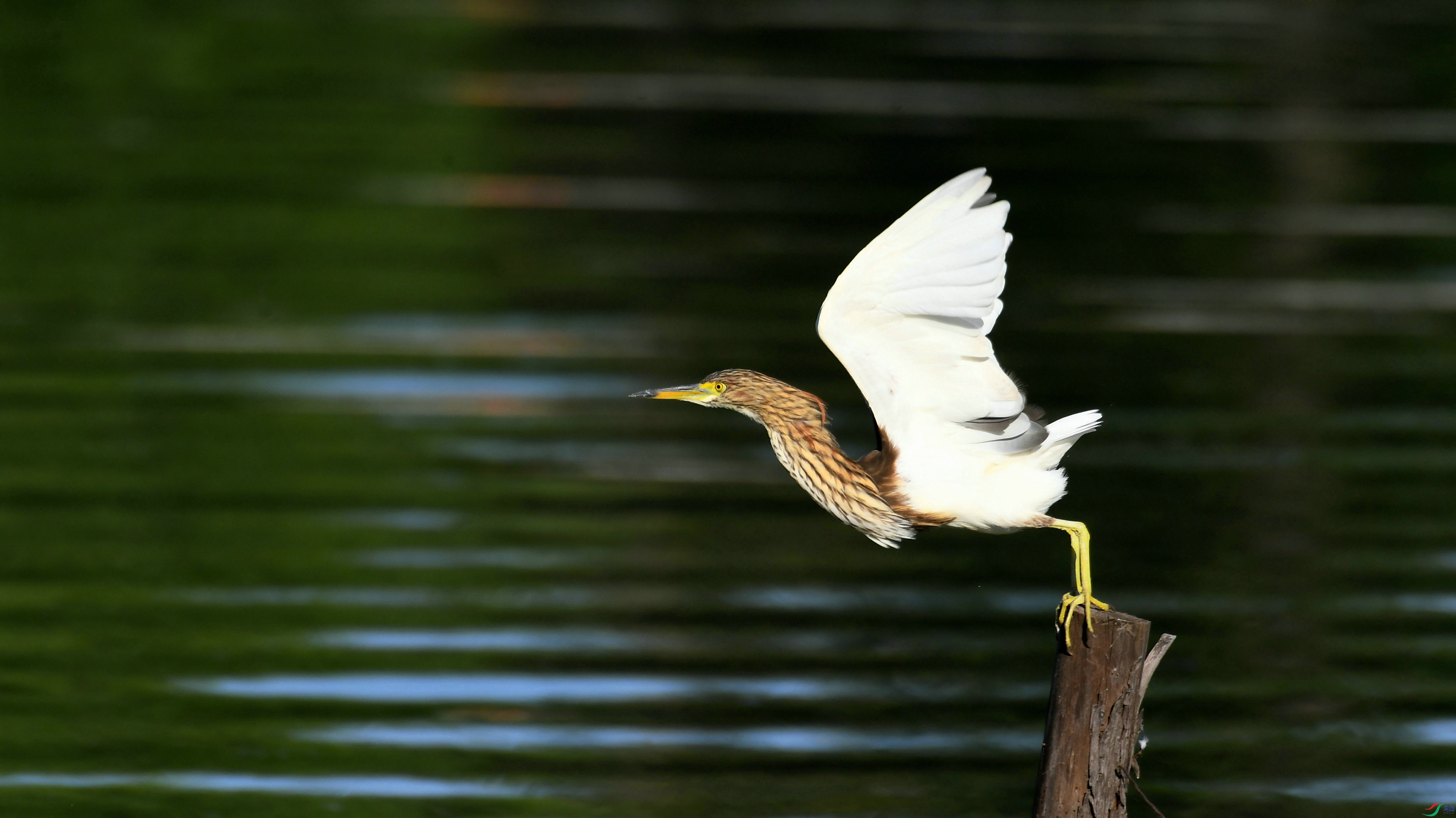 DSC_8823.JPG