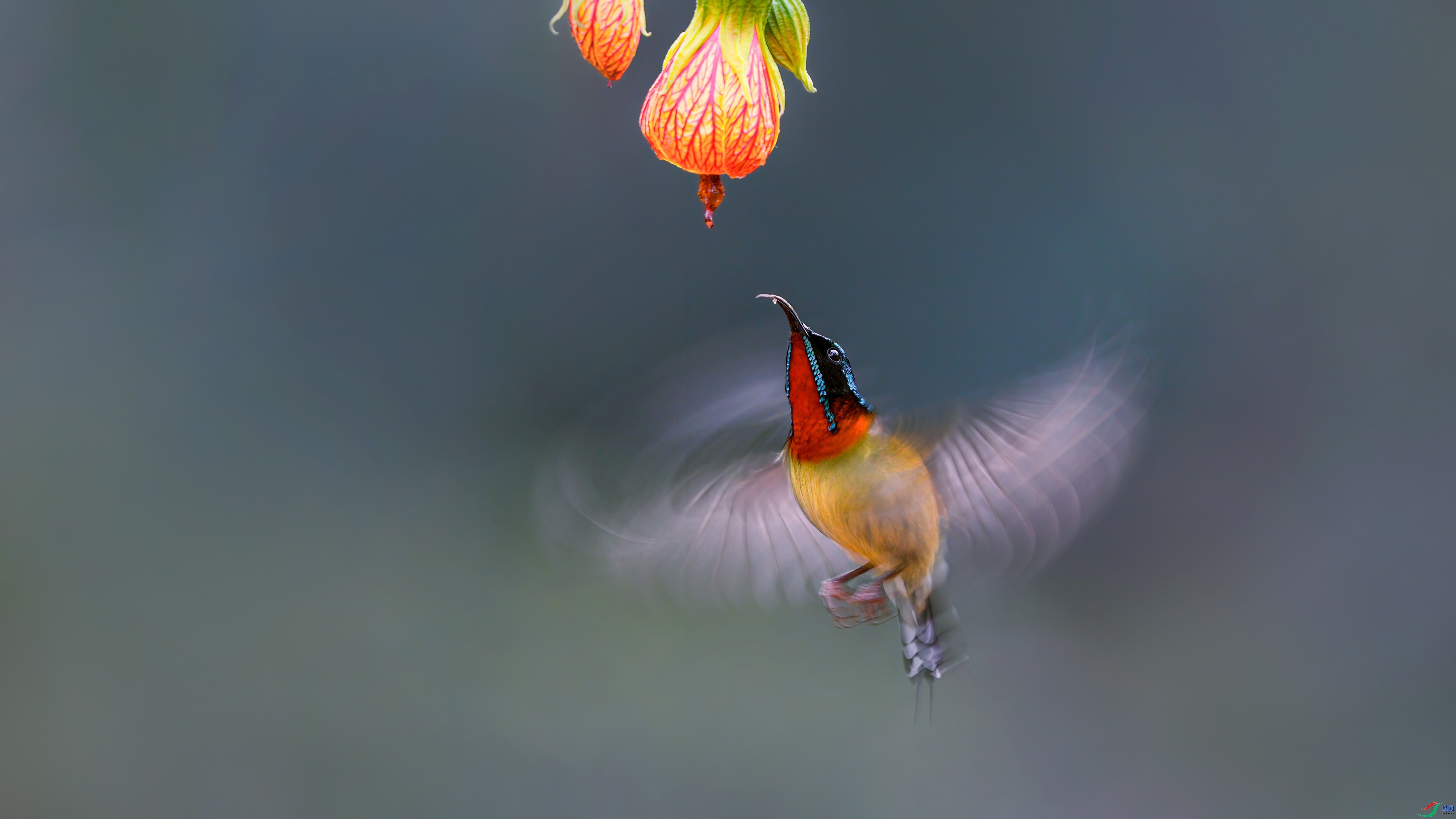 9.3������ʦ��Ʒ   ��β̫����ף���ٻ���Ӱʦ������.jpg