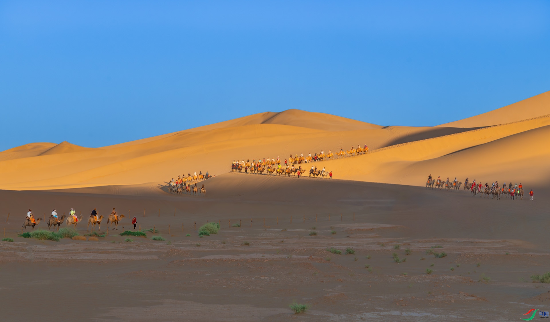 DSC_8953.jpg