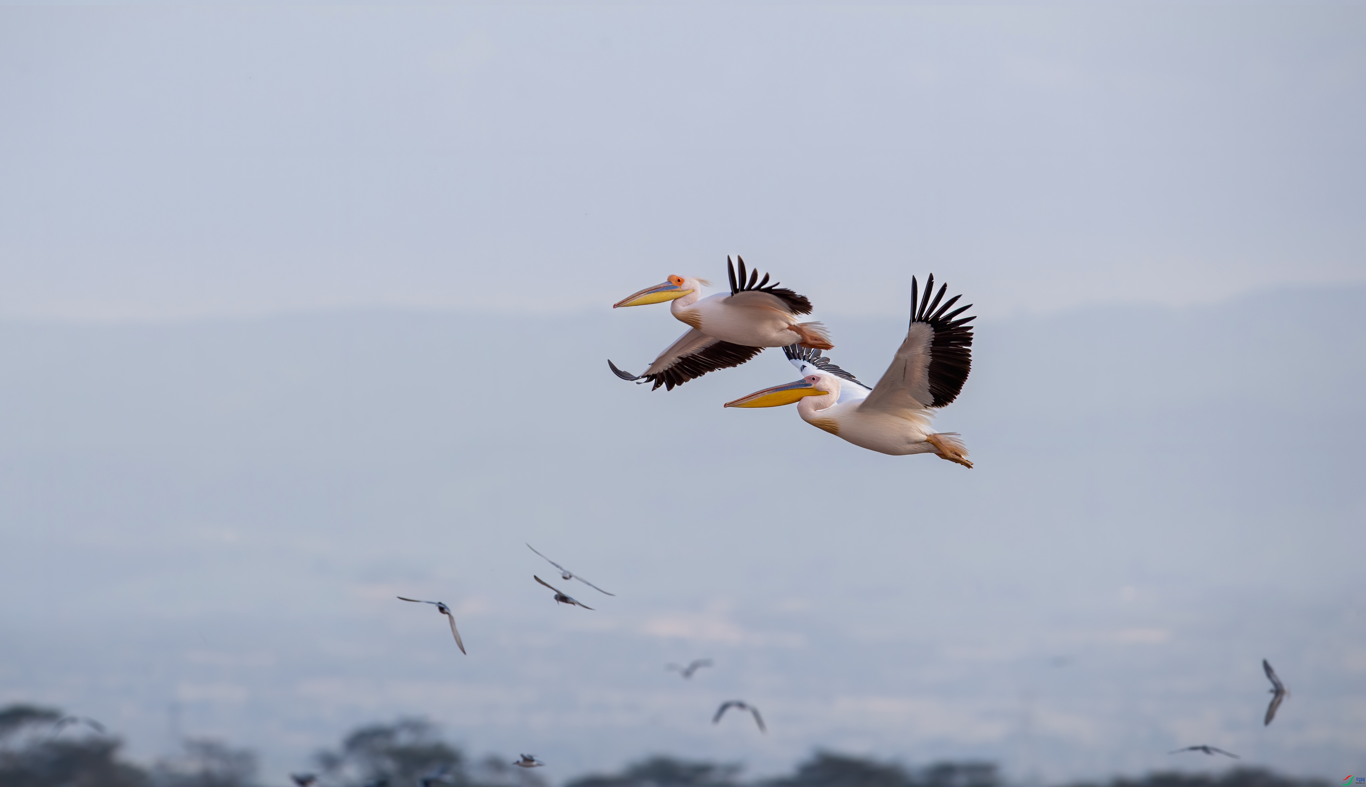 DSC_1552-1.jpg