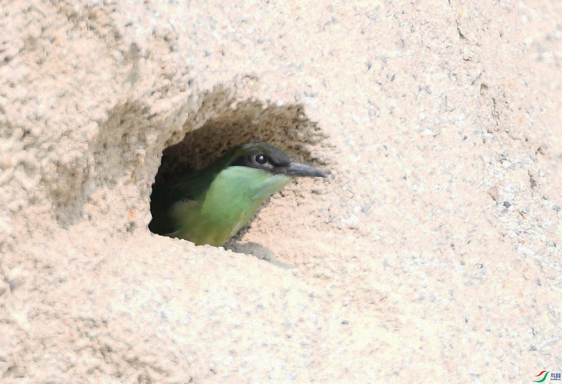 DSC_7045.jpg