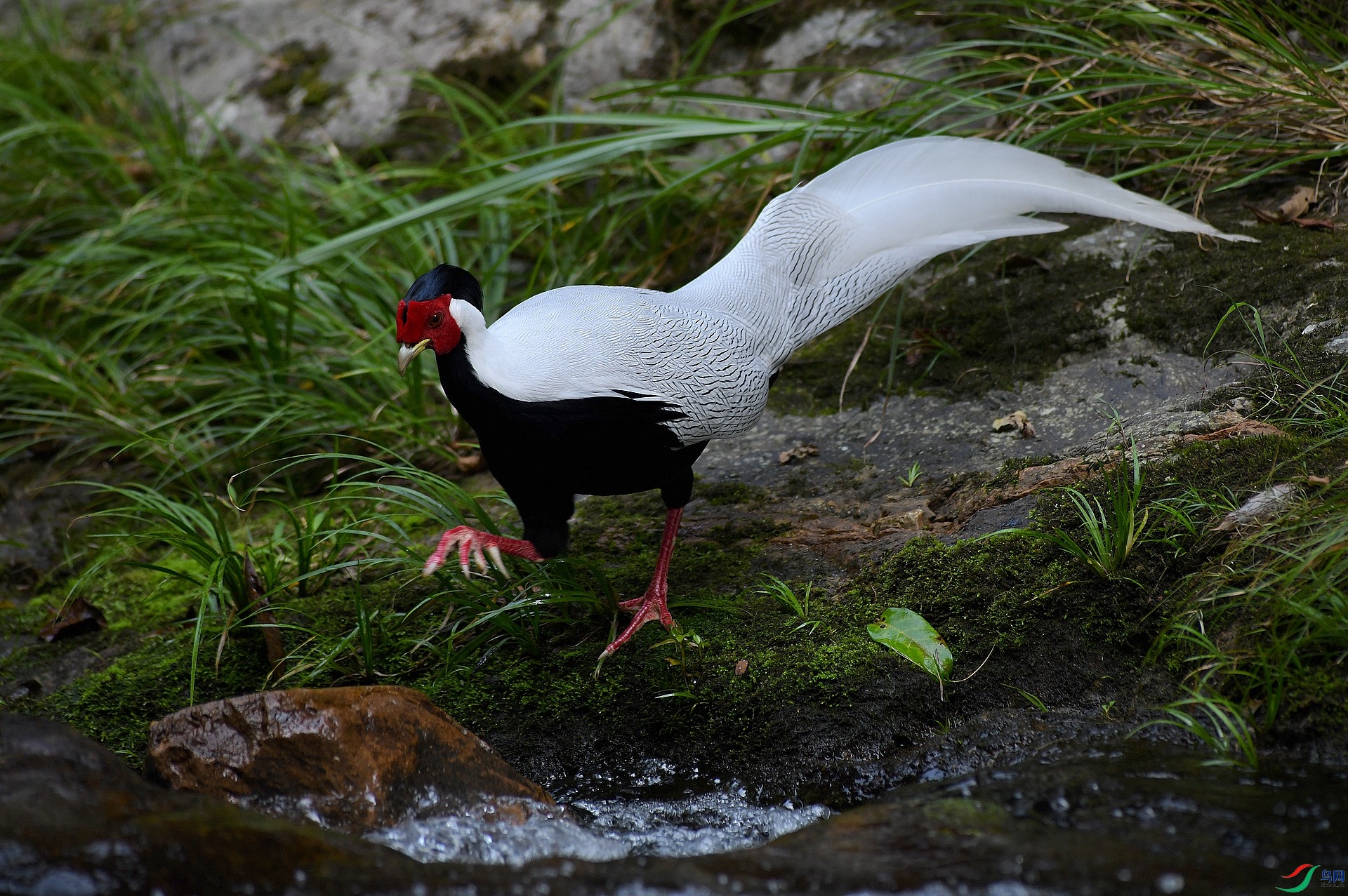 DSC_3709.jpg