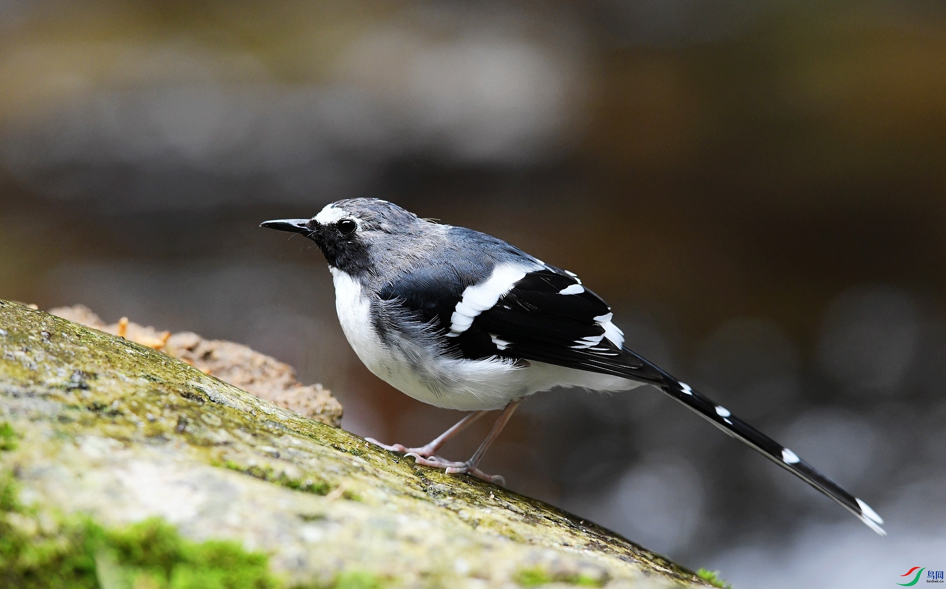 DSC_7259.jpg