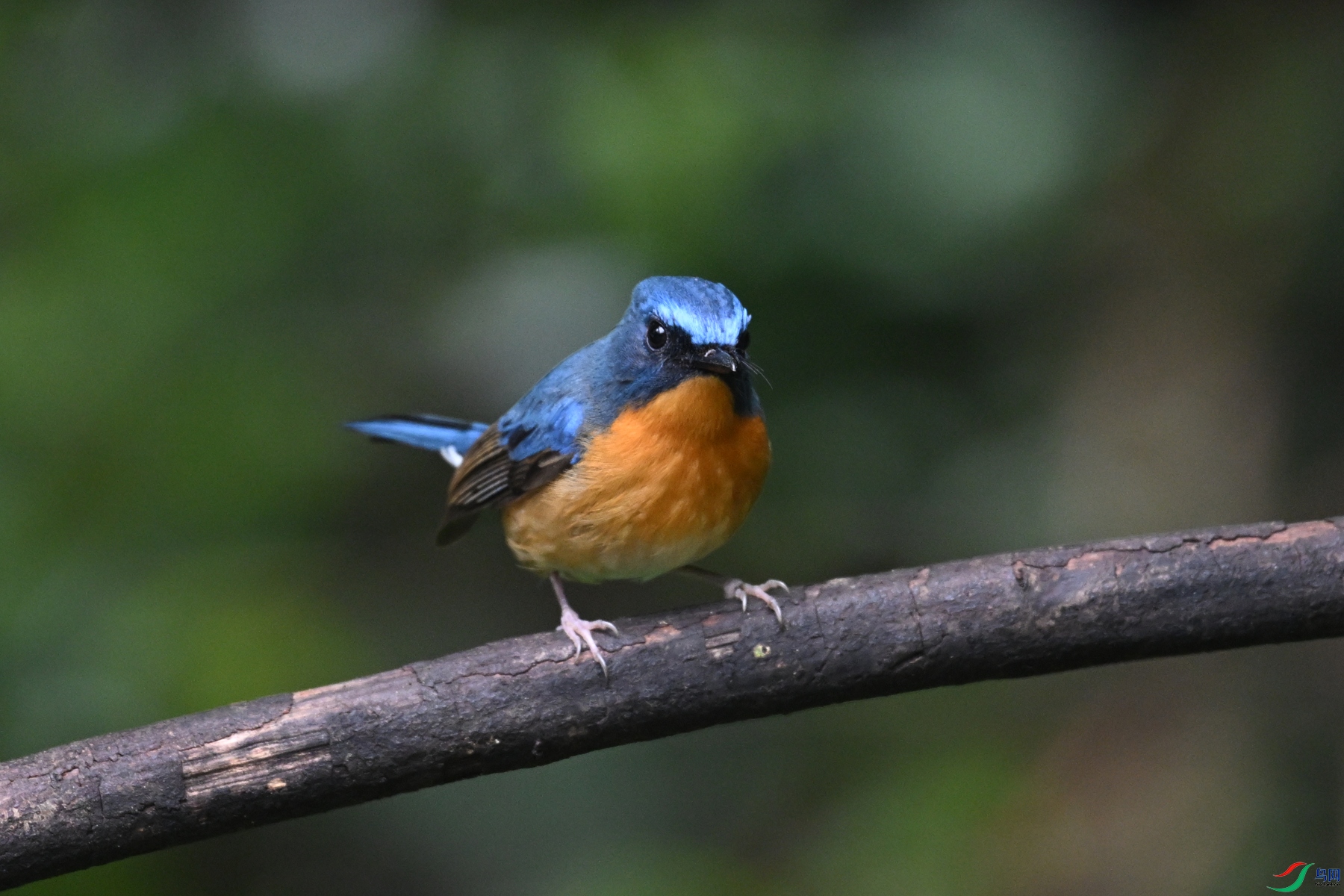 DSC_7226.JPG
