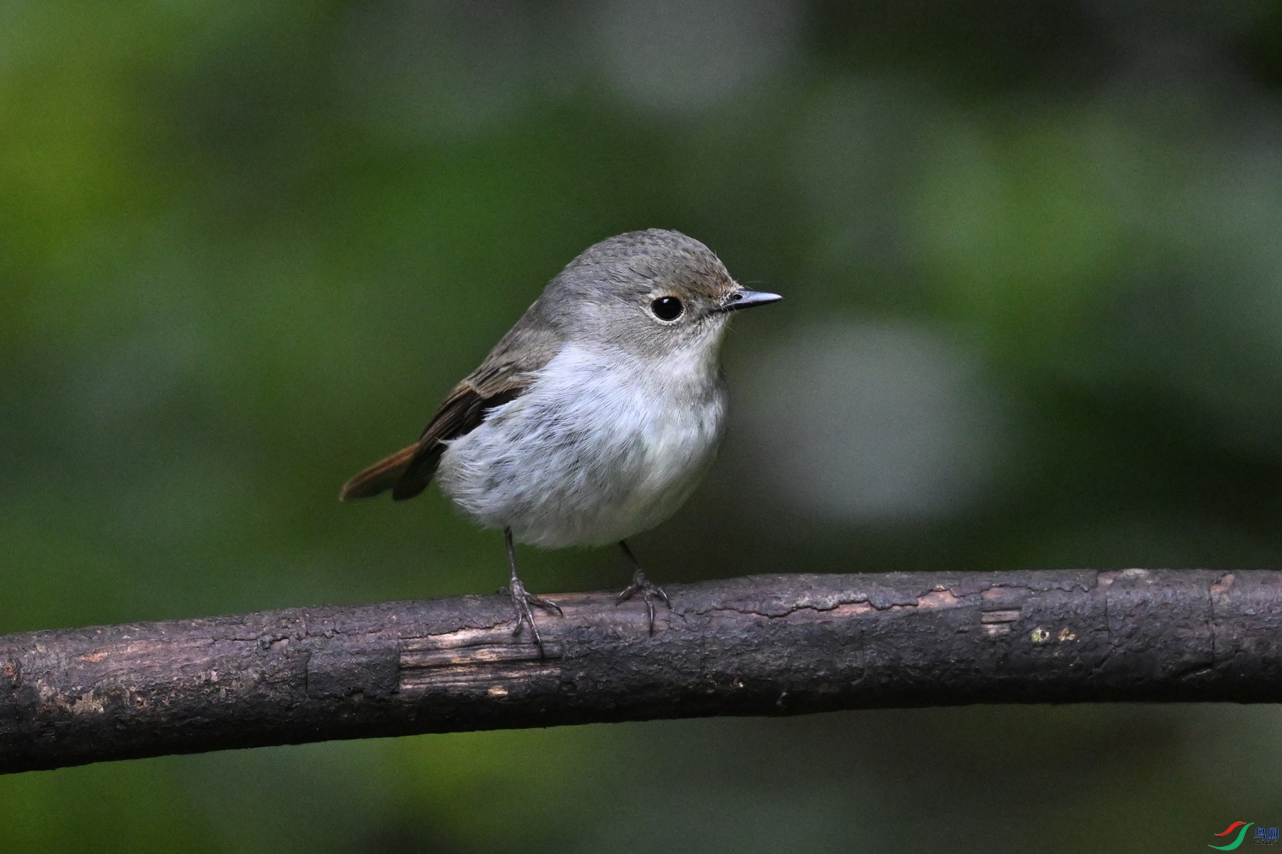DSC_7178.JPG