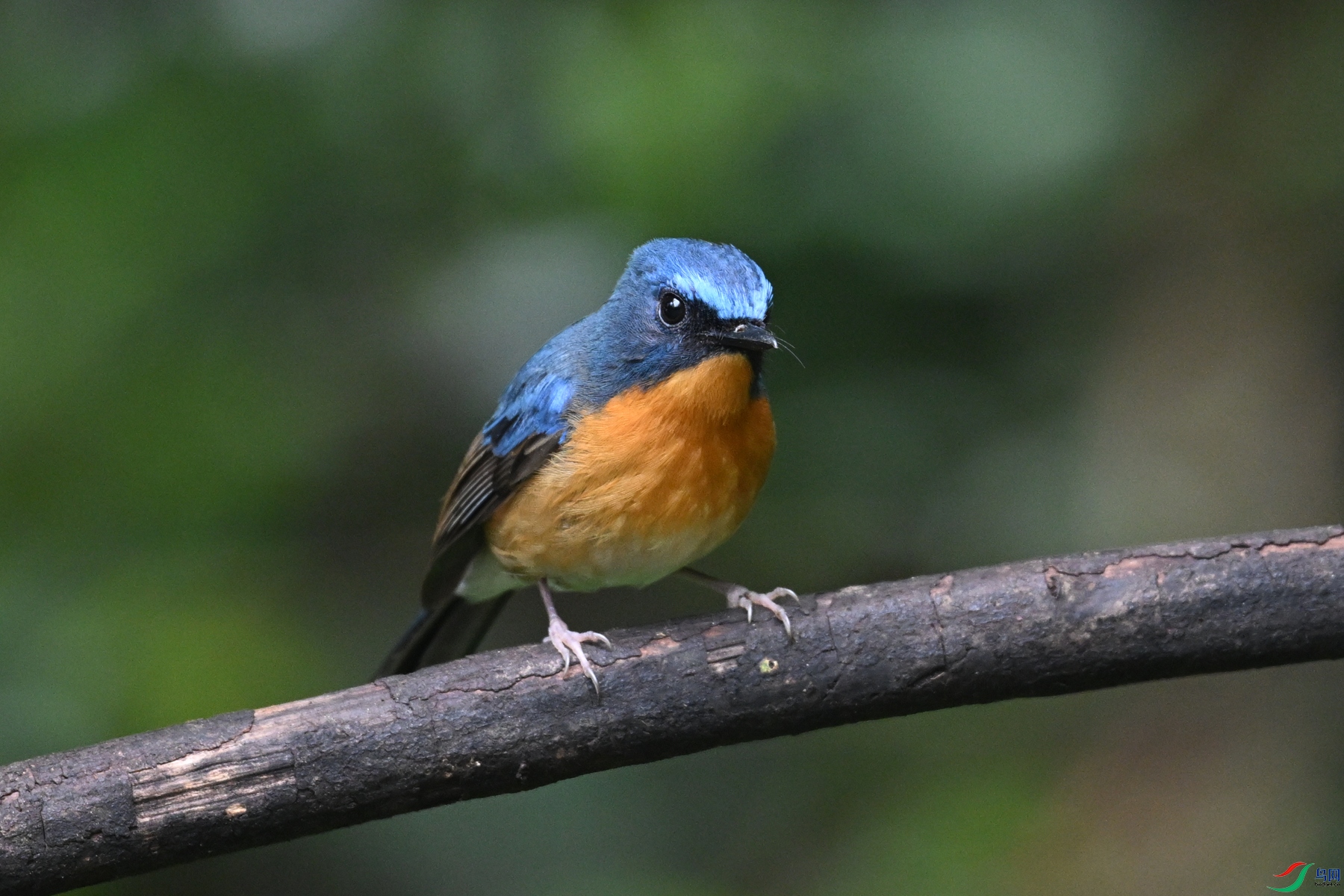 DSC_7230.JPG