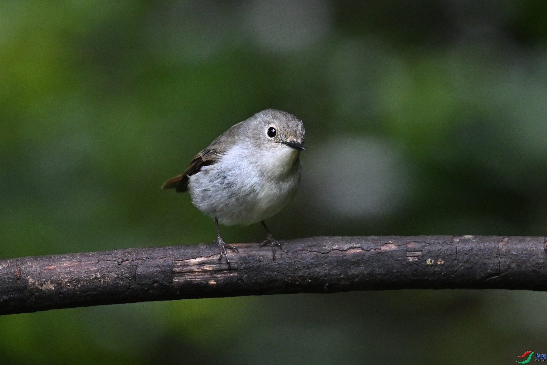 DSC_7180.JPG