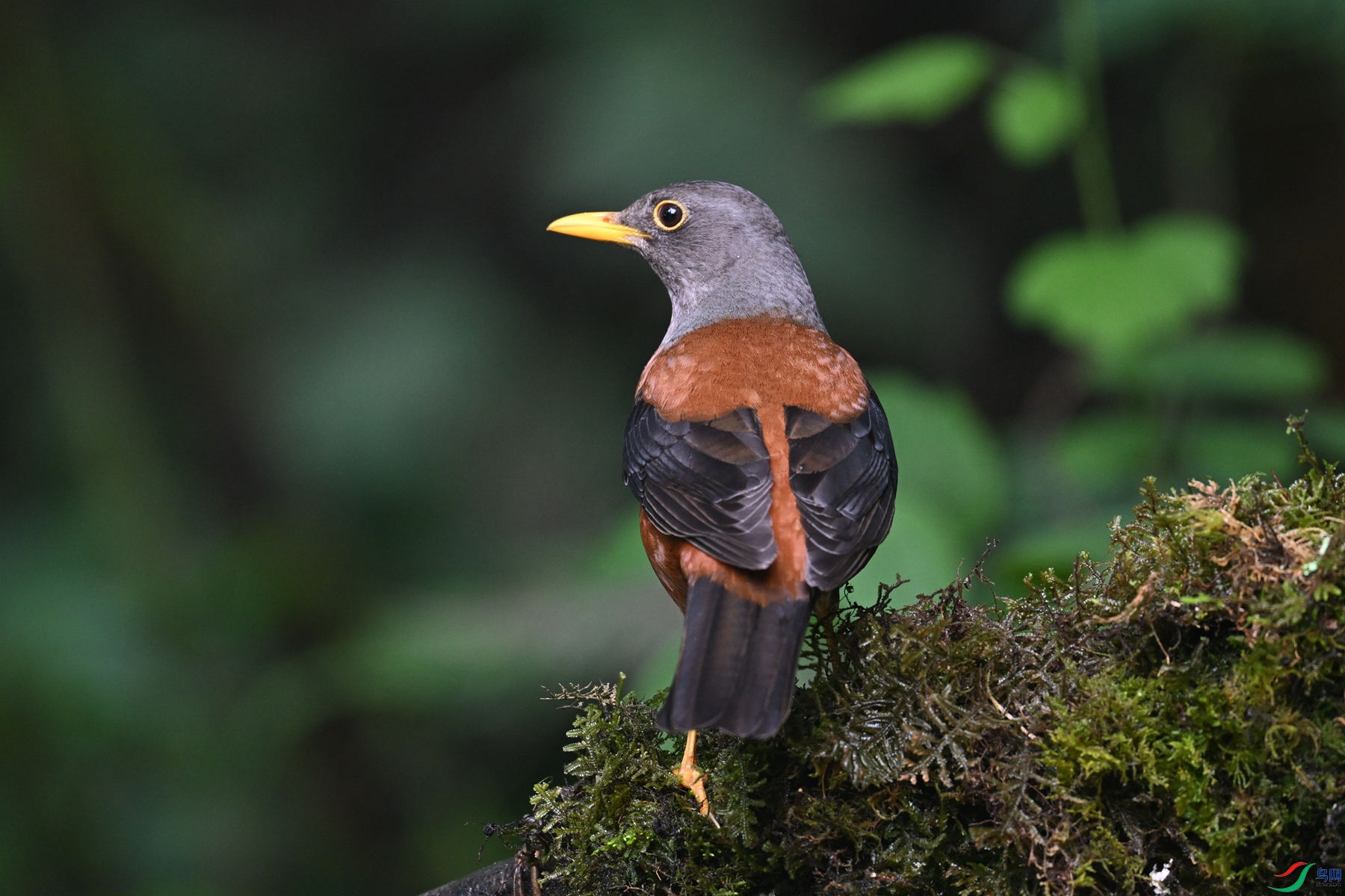DSC_7245.JPG
