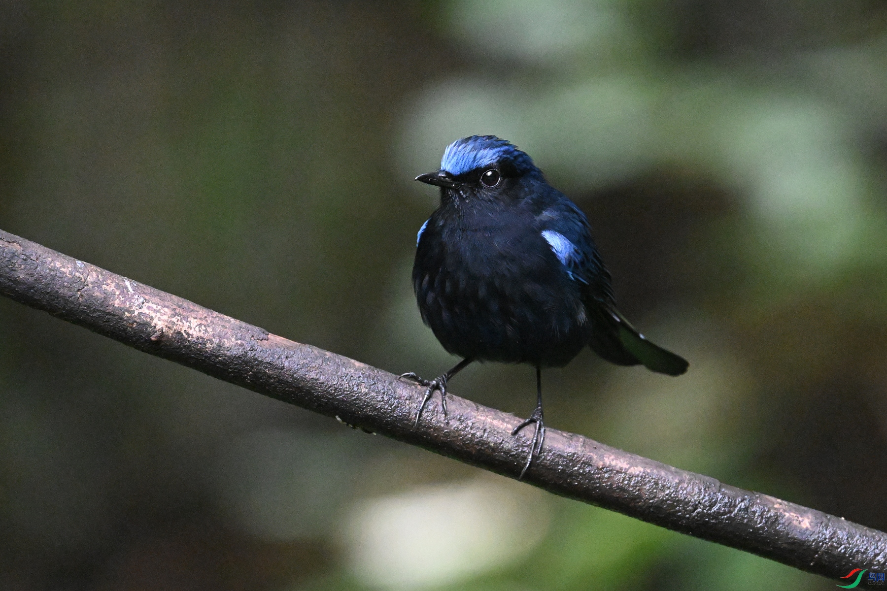 DSC_7186.JPG