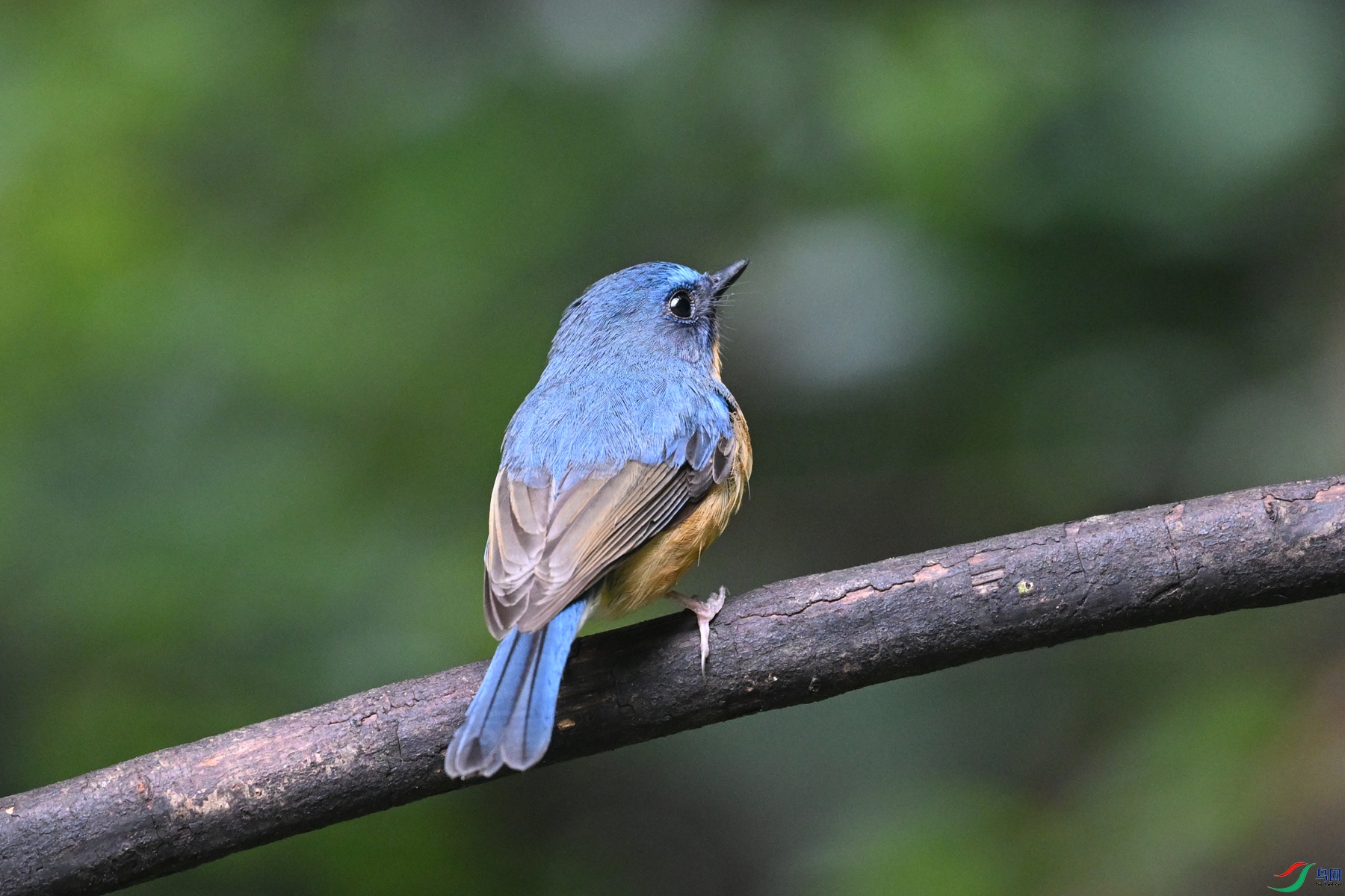 DSC_7222.JPG