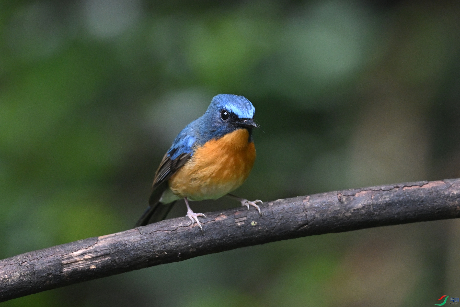 DSC_7229.JPG