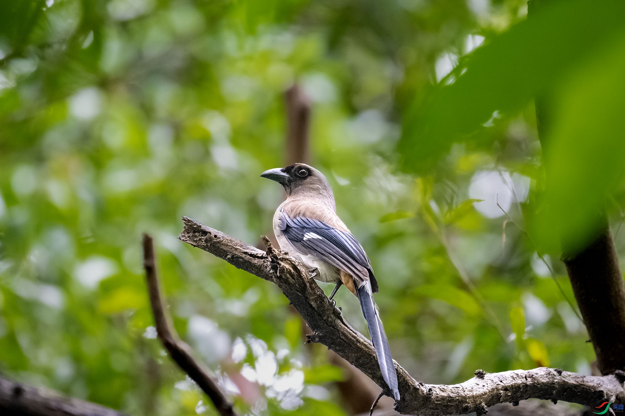 DSC_2098.jpg