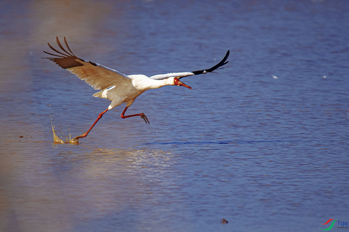 DSC_6757-����ǿ.jpg