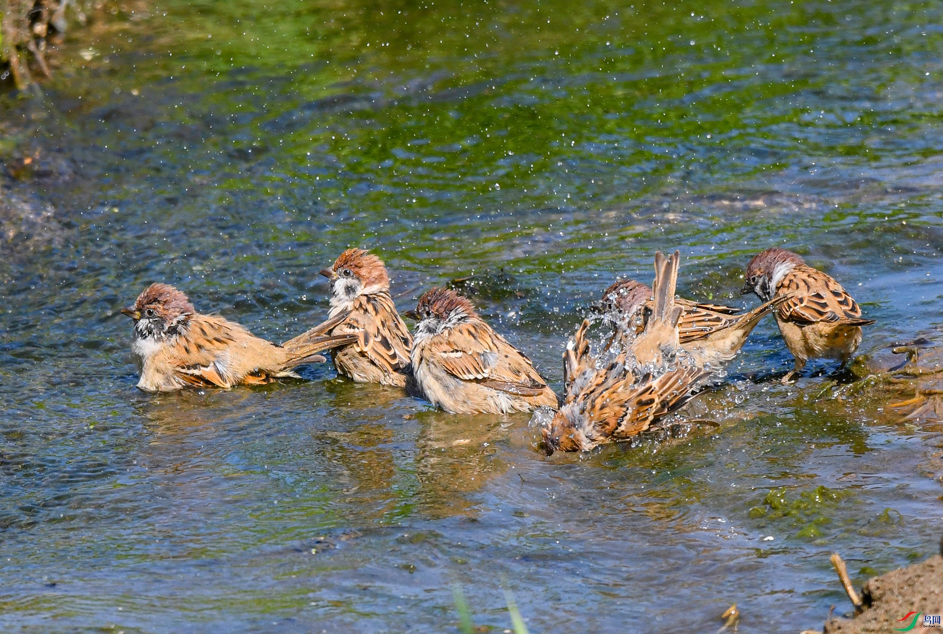 DSC_2566_��ͼ�� ����.jpg