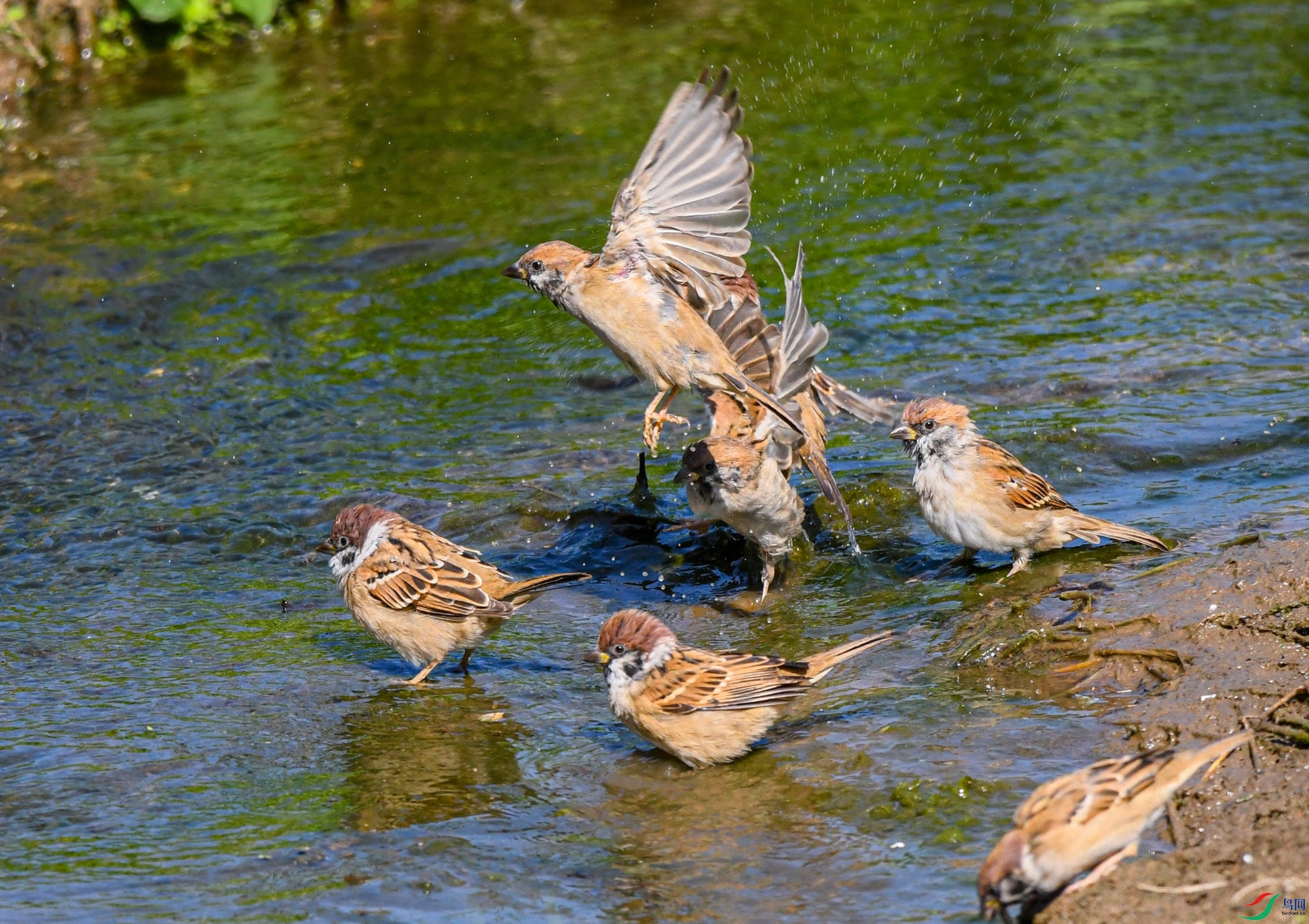 DSC_2533_��ͼ�� ����.jpg