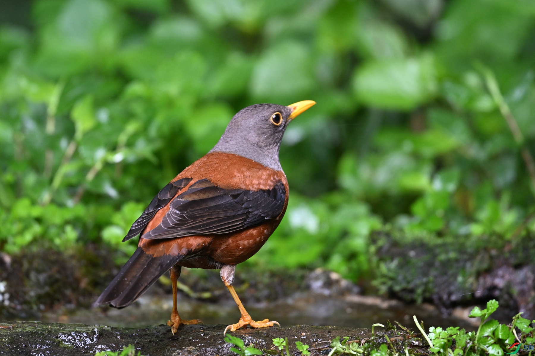 DSC_7249.JPG