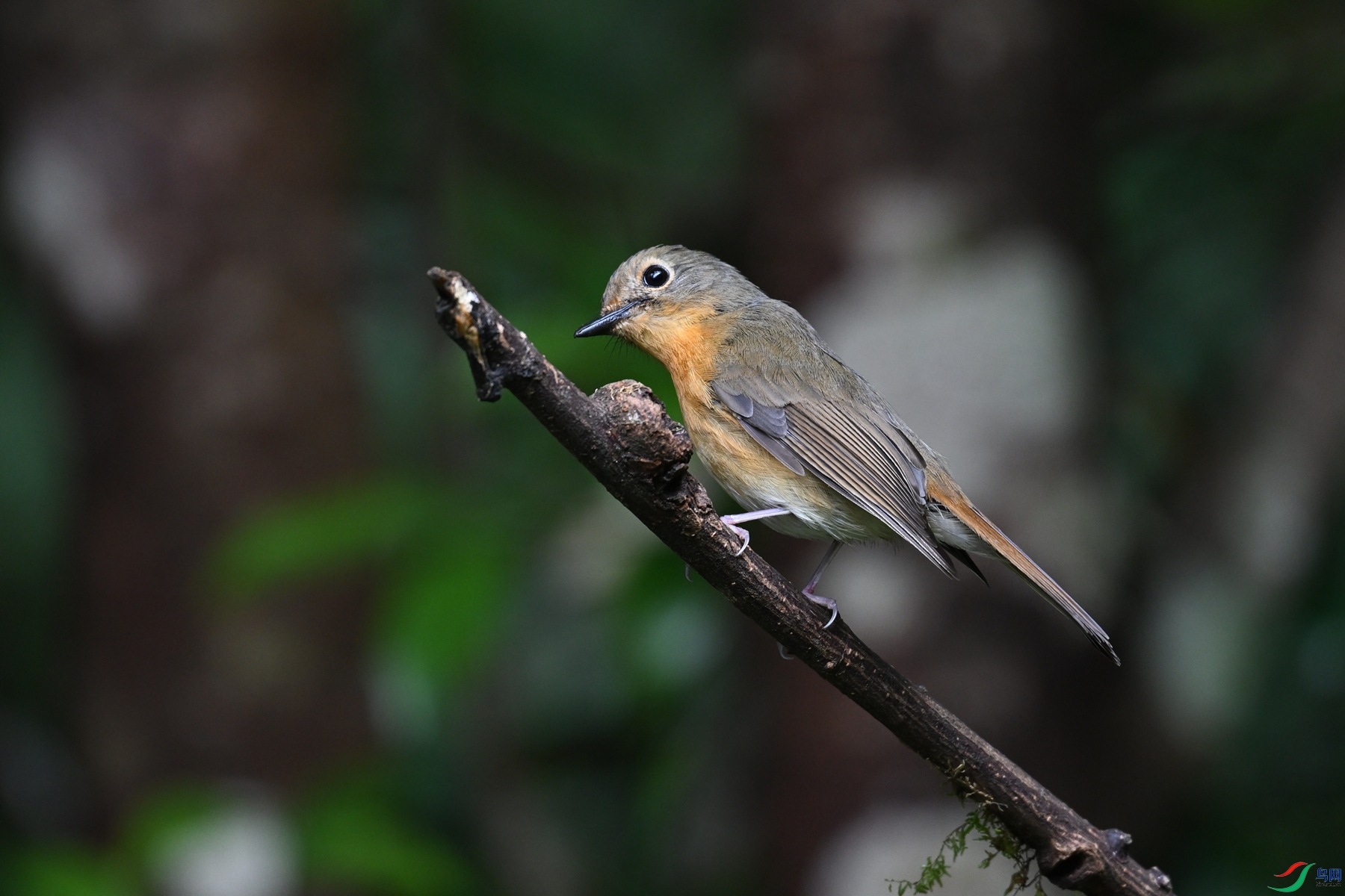 DSC_7262.JPG