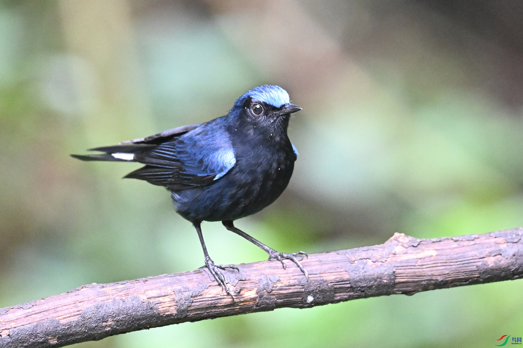 DSC_7263.JPG
