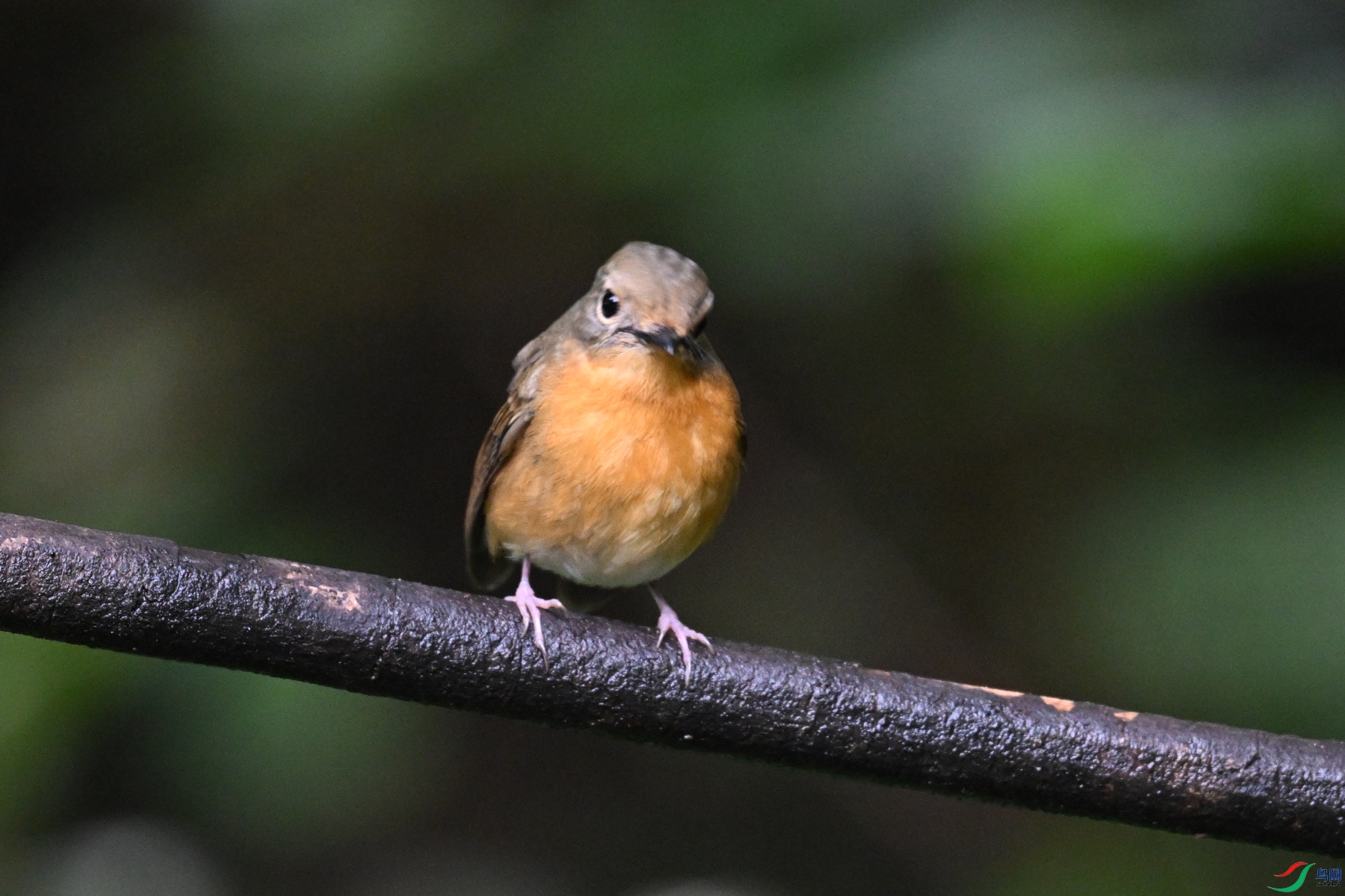 DSC_7208.JPG
