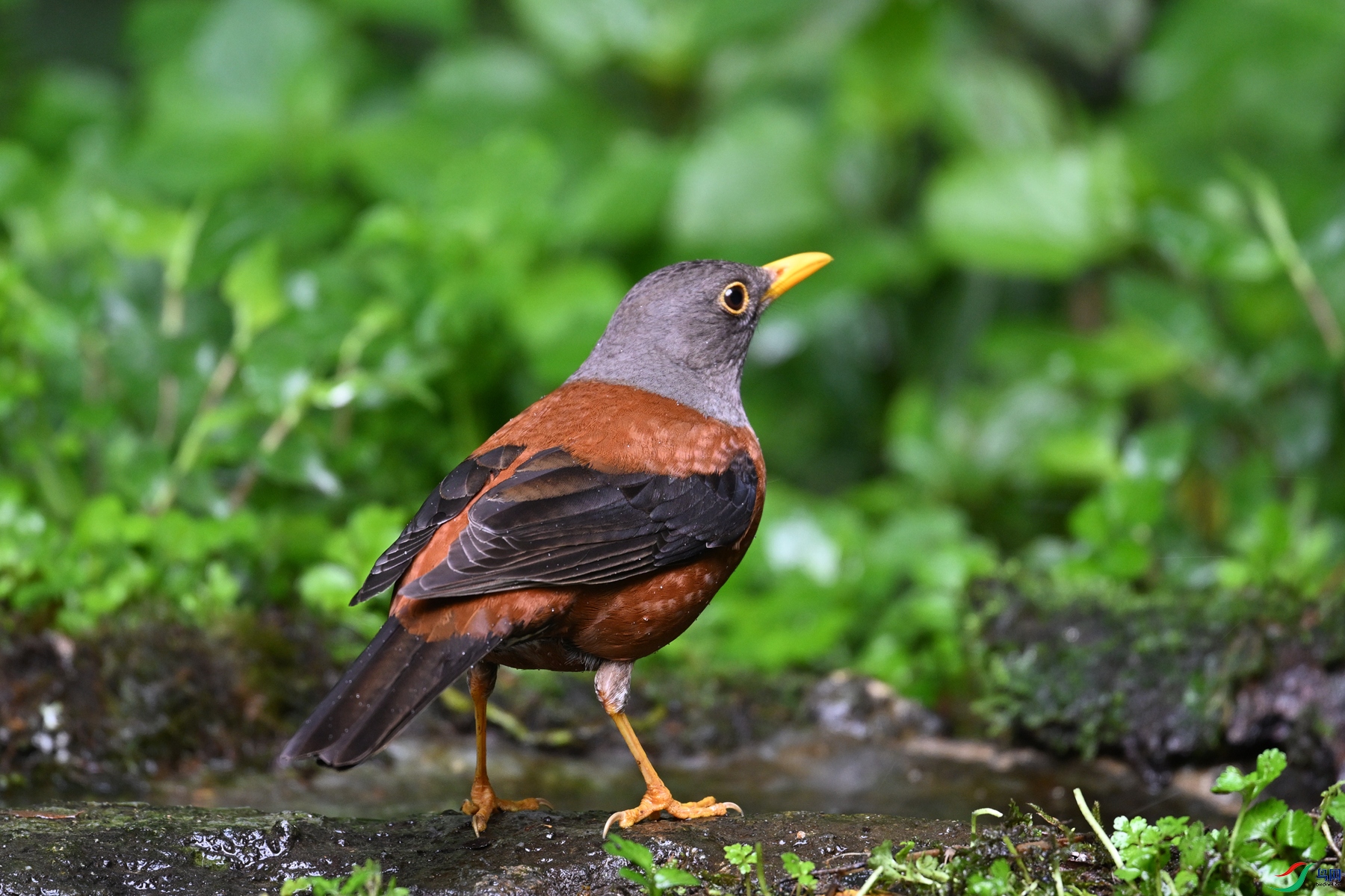 DSC_7251.JPG