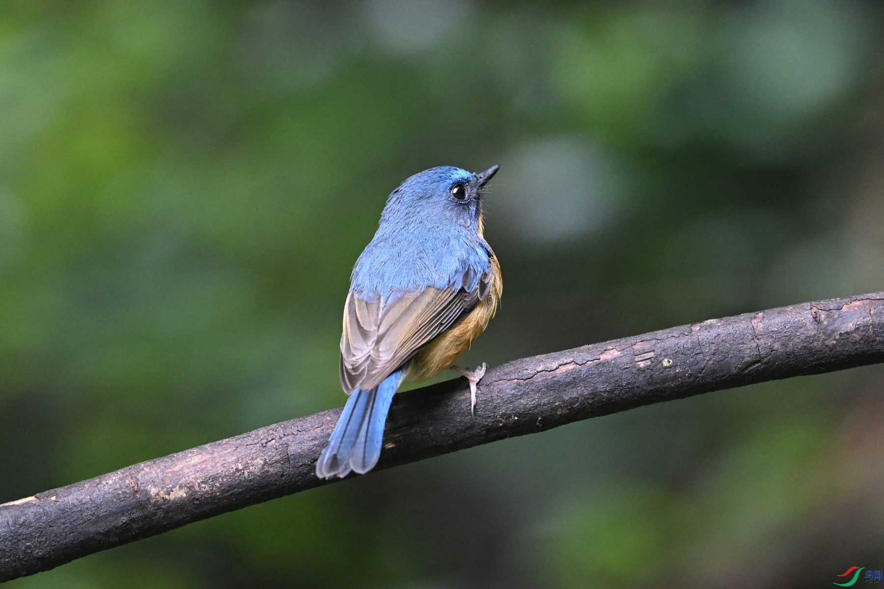 DSC_7221.JPG