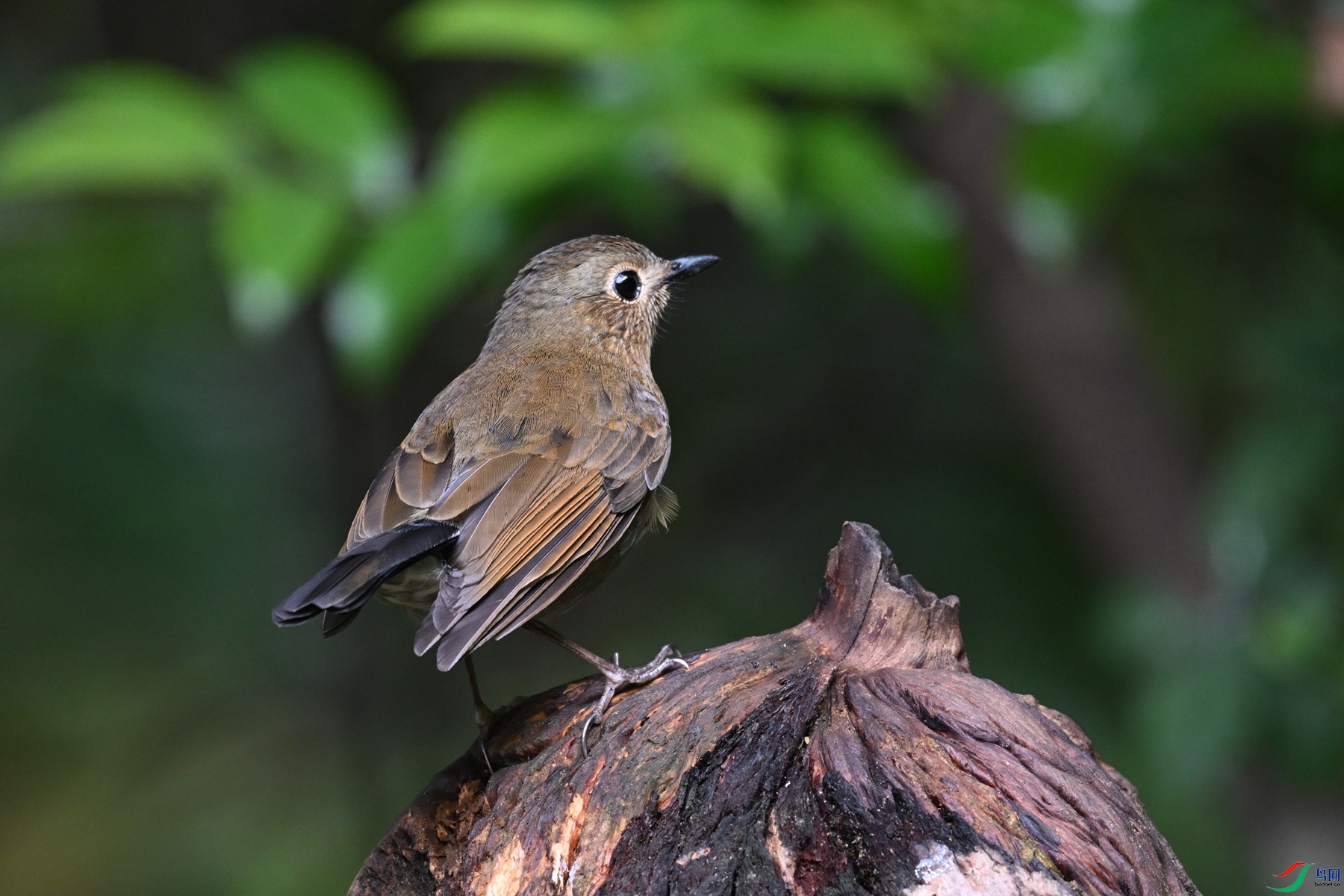 DSC_7282.JPG