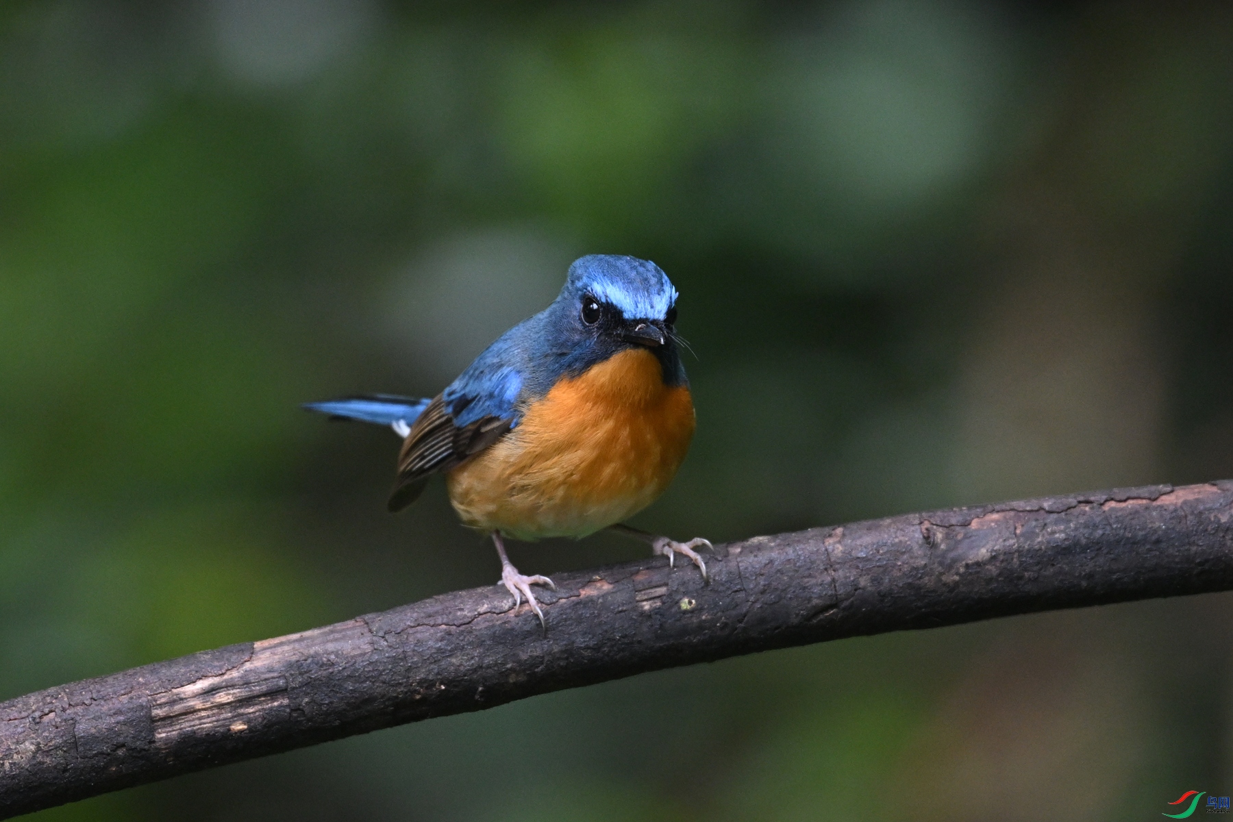DSC_7228.JPG