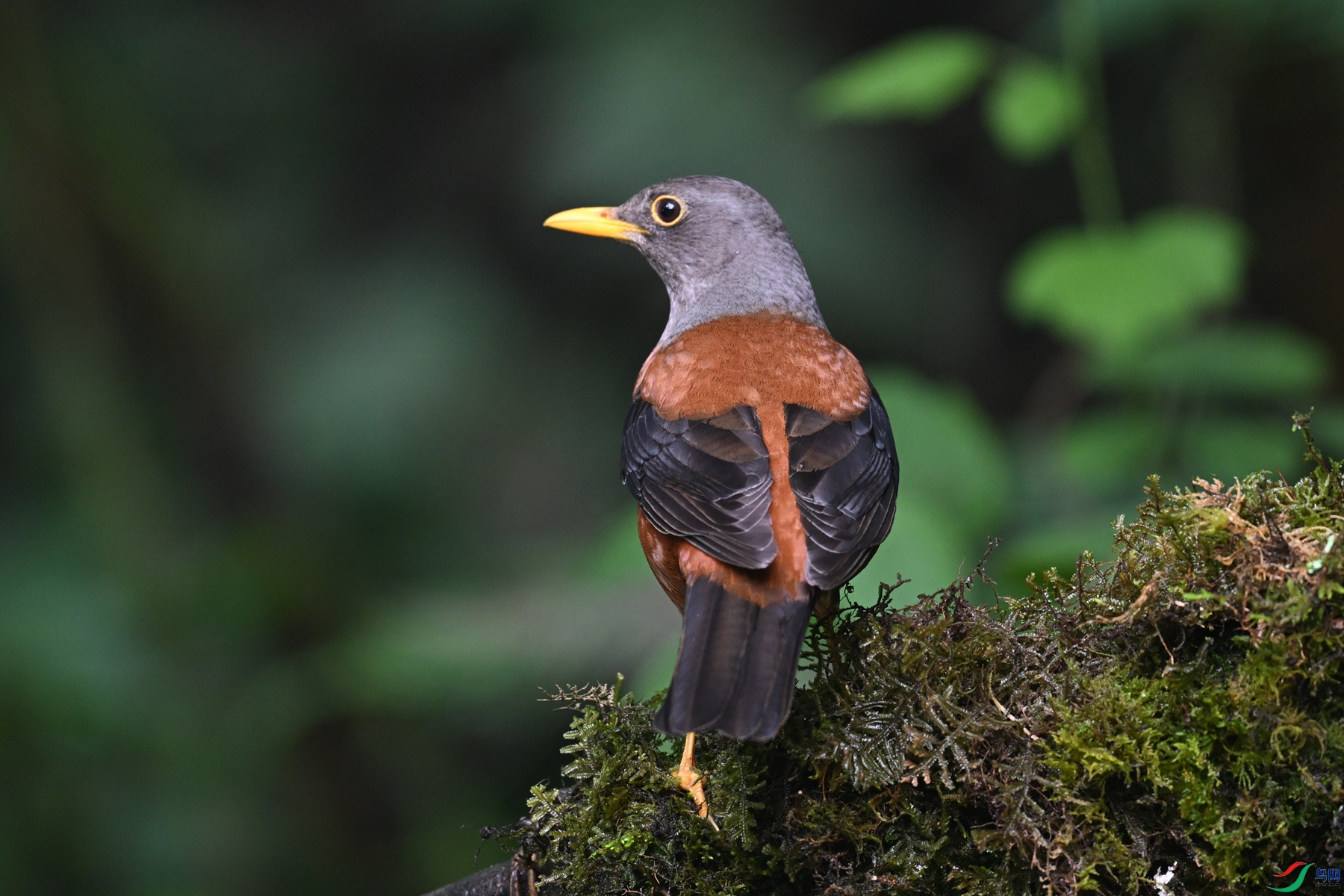 DSC_7243.JPG