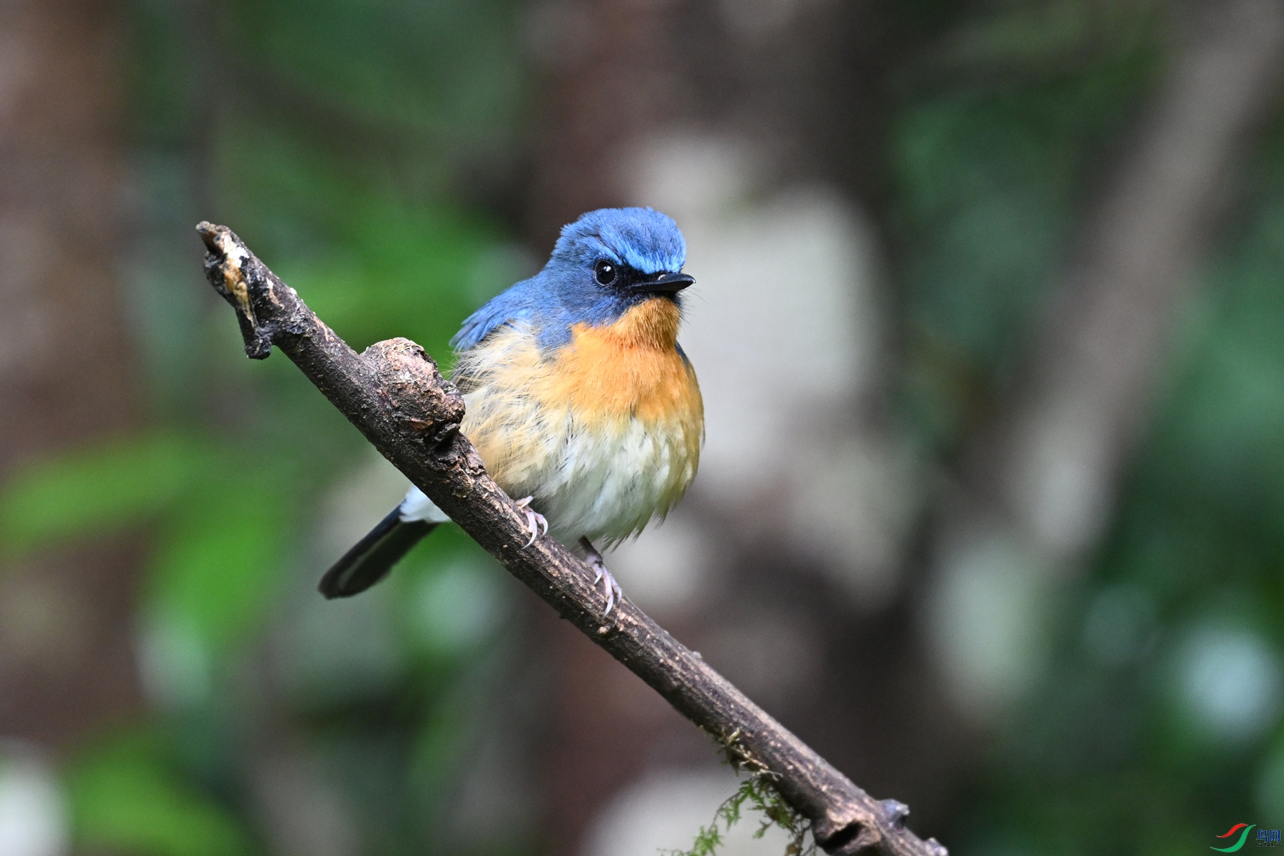 DSC_7259.JPG